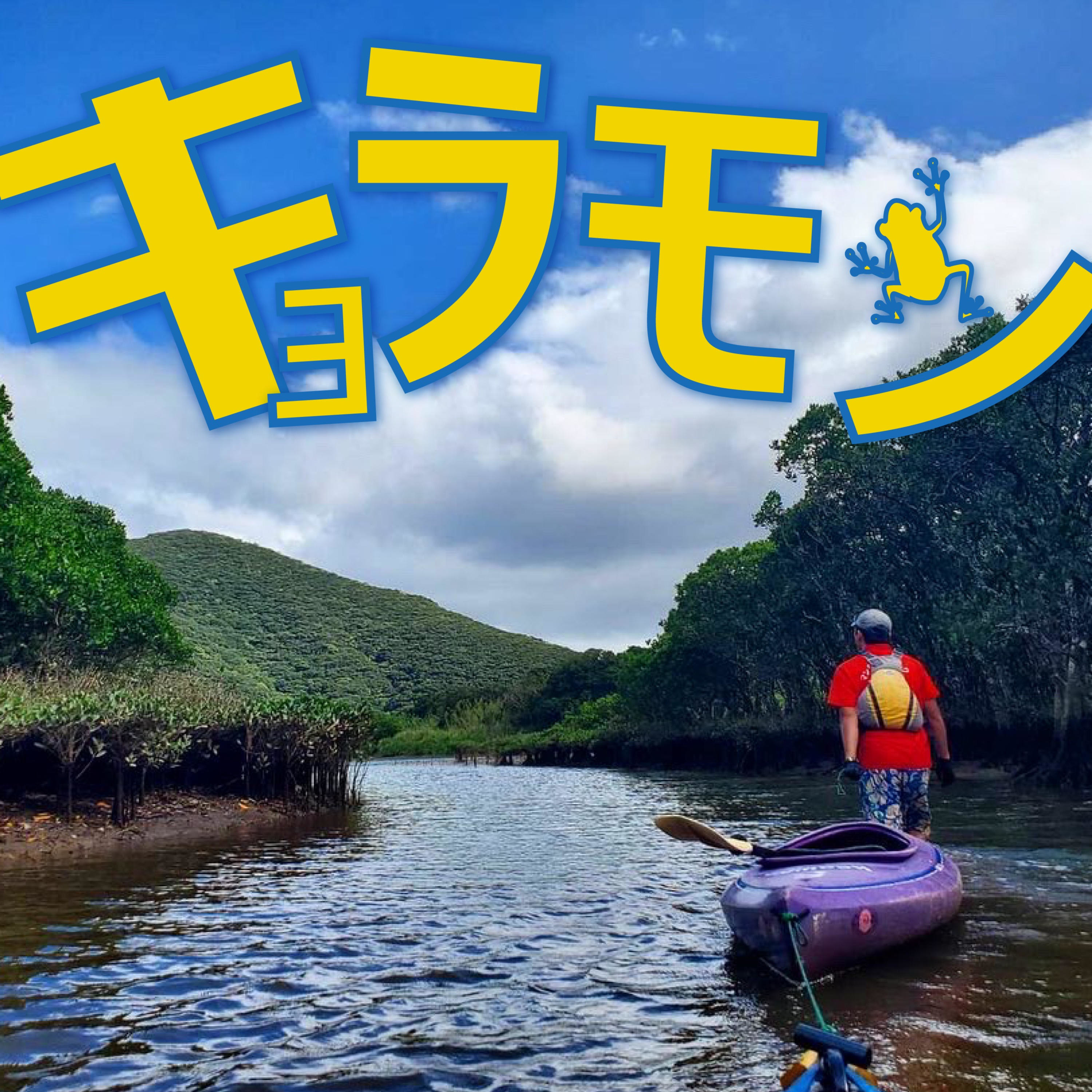 奄美の美しい生き物たち『キョラモン』