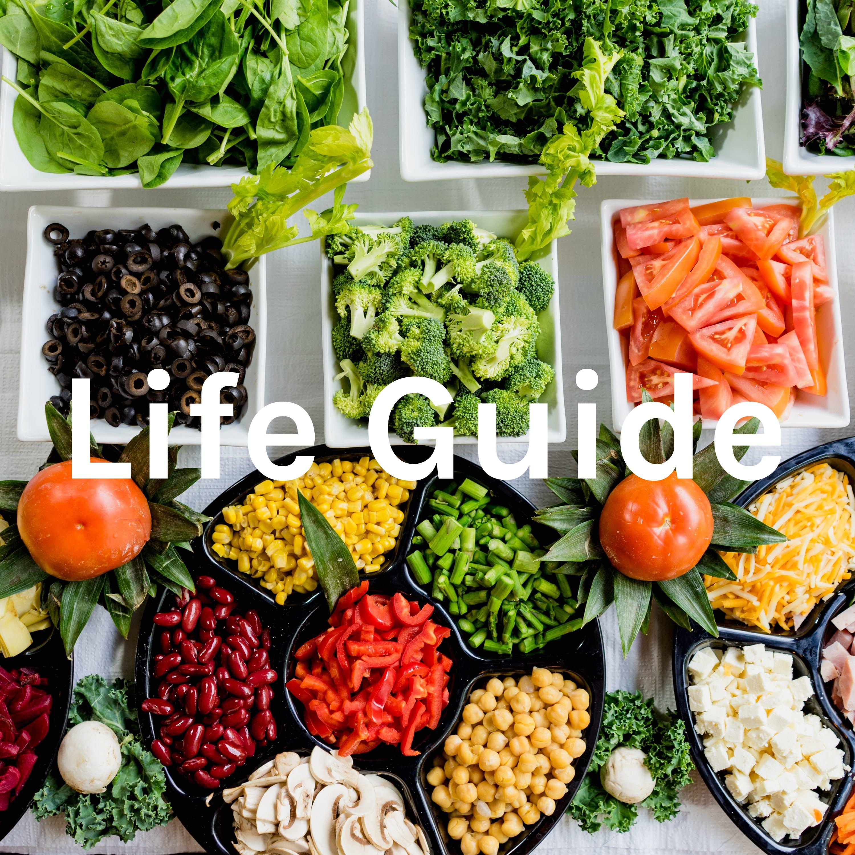 Life Guide