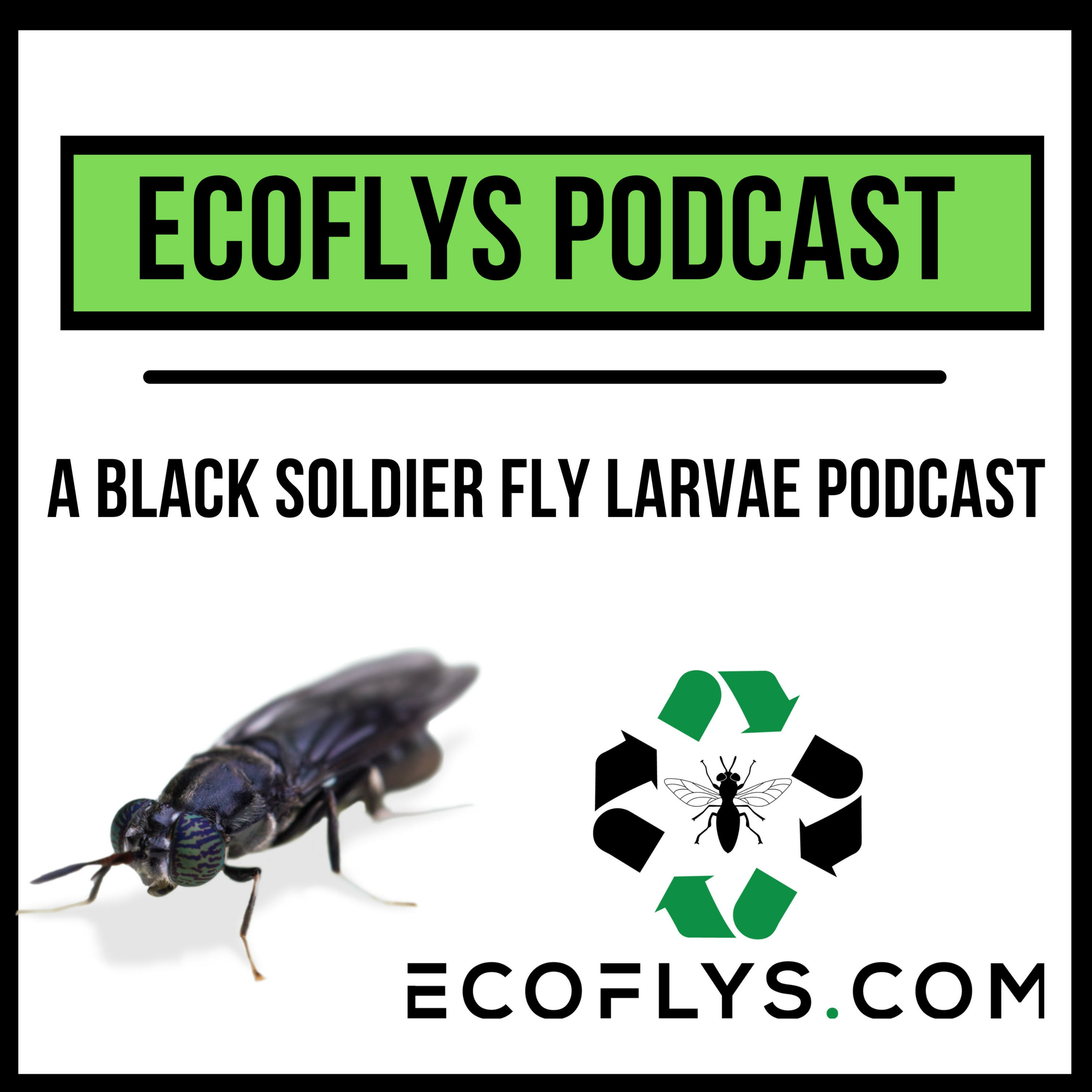 Ecoflys Podcast cover art