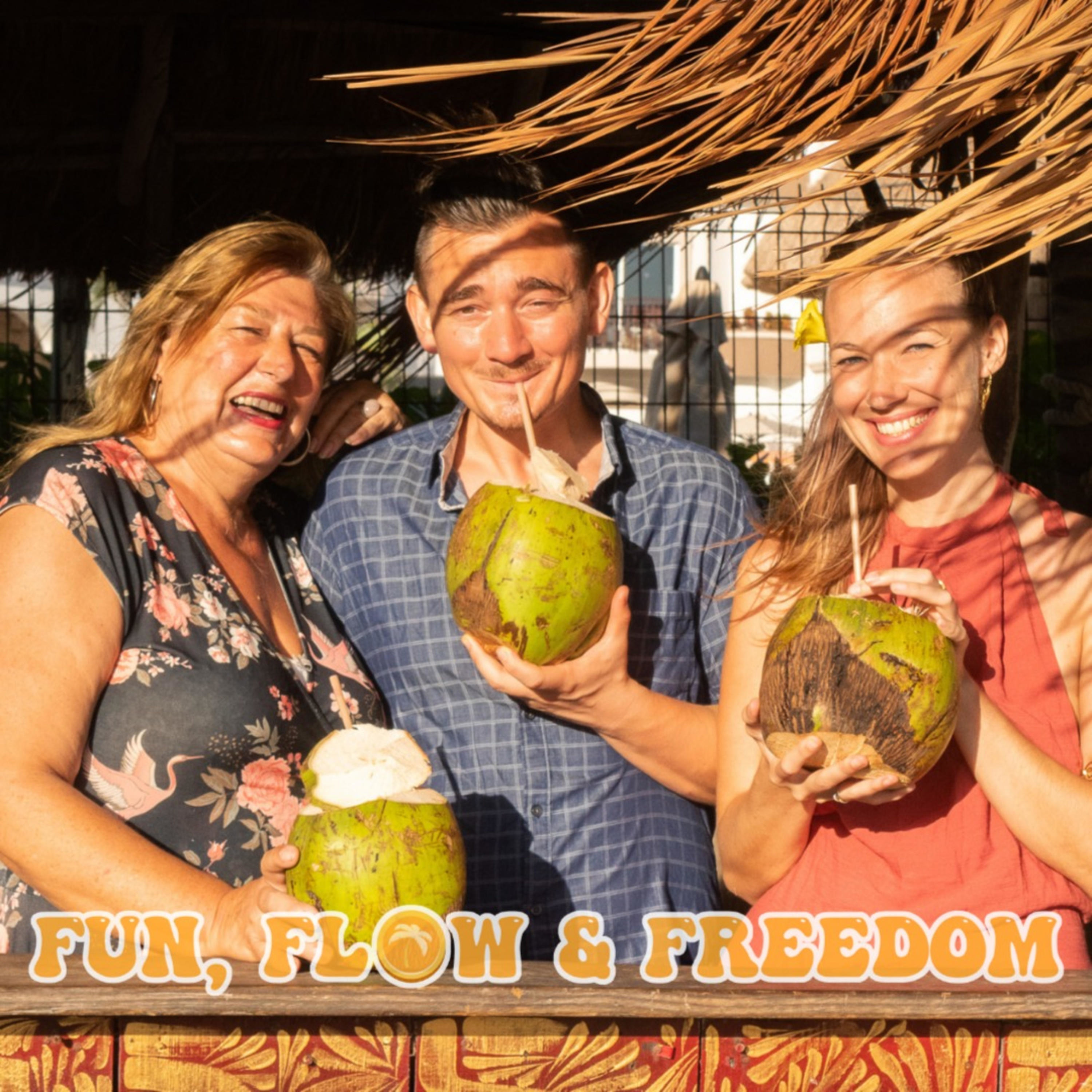 Fun, Flow &amp; Freedom - der Weg zum ortsunabhängigen Geld verdienen