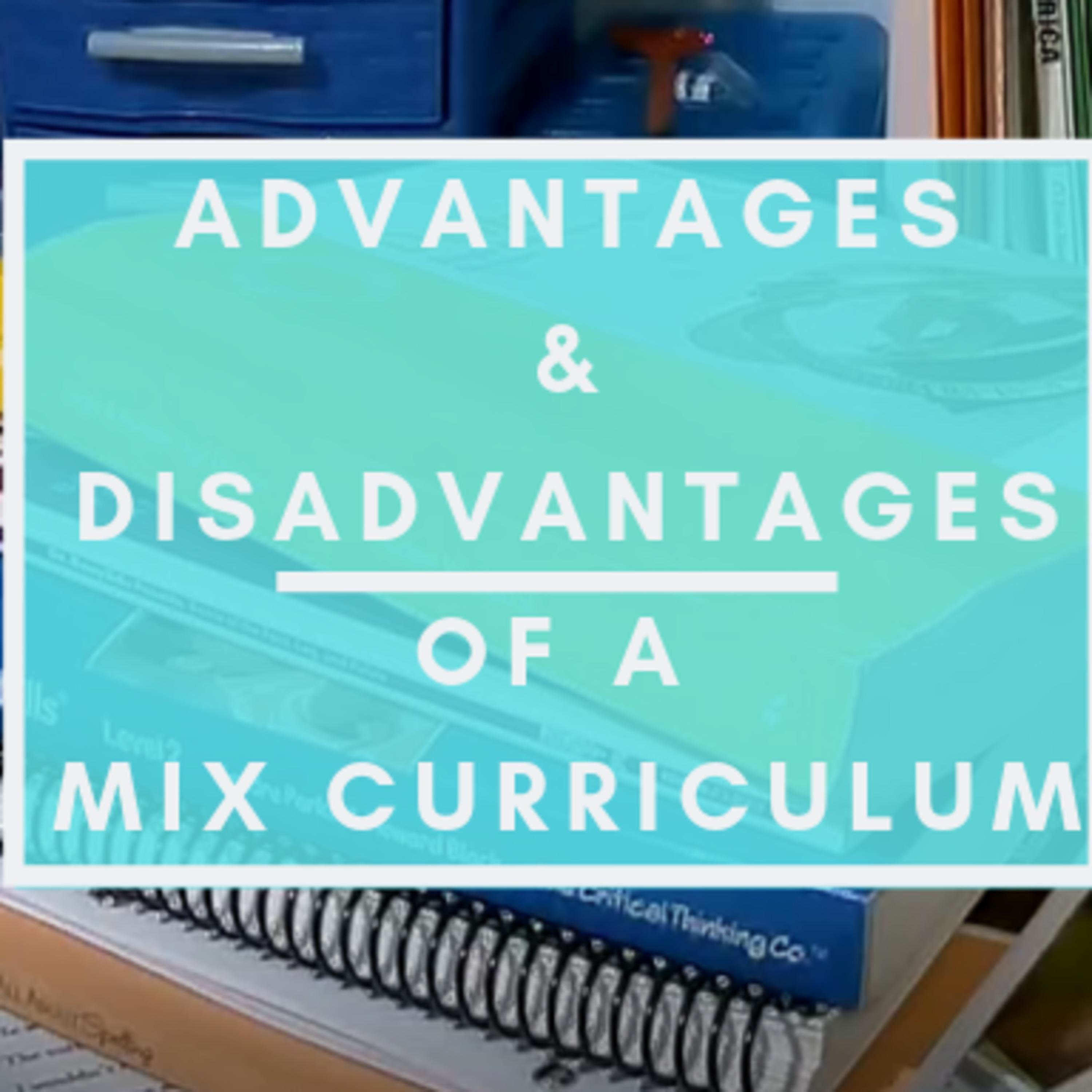 Advantages & Disadvantages of Using Mixed Curriculum.