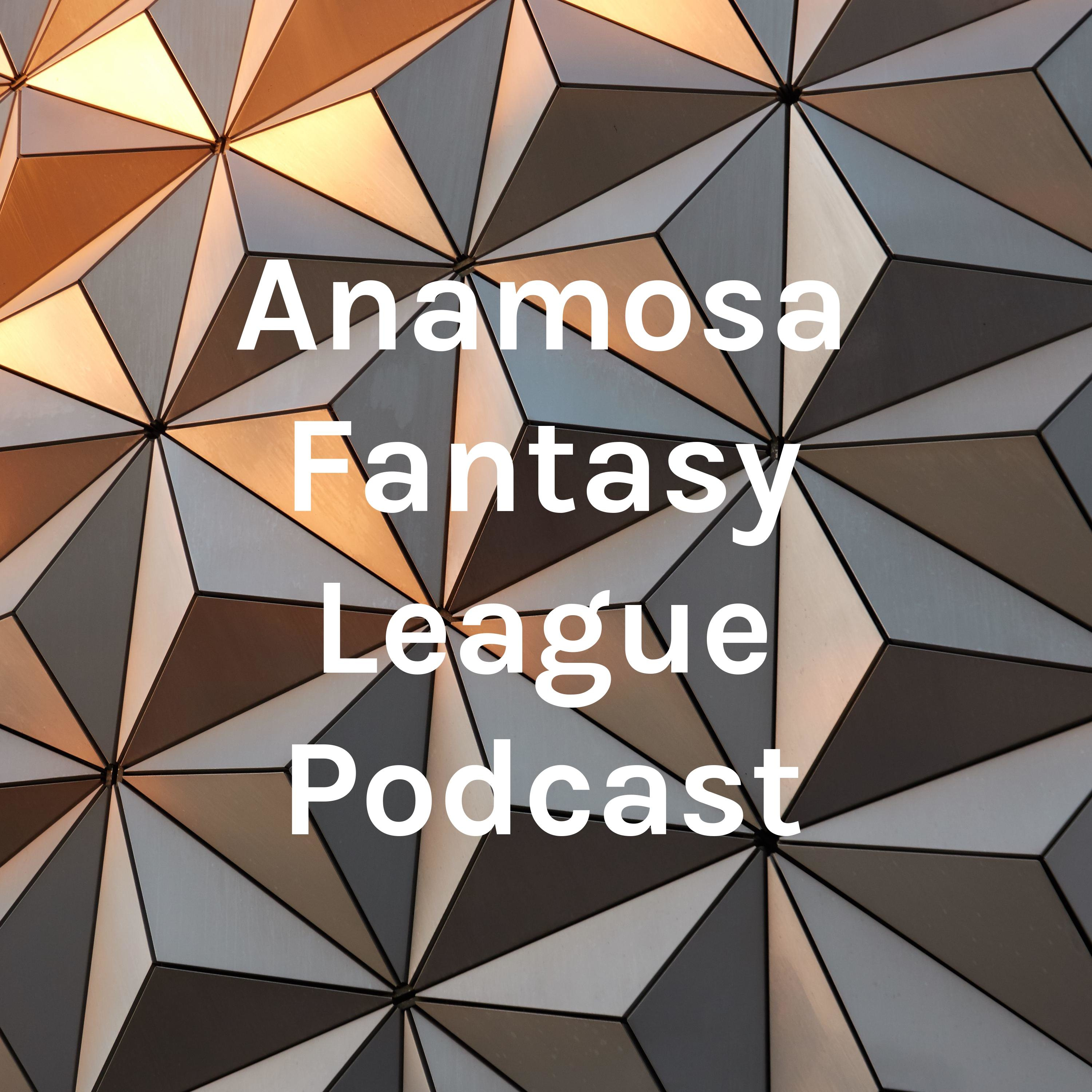 Anamosa RaiderCast podcast artwork