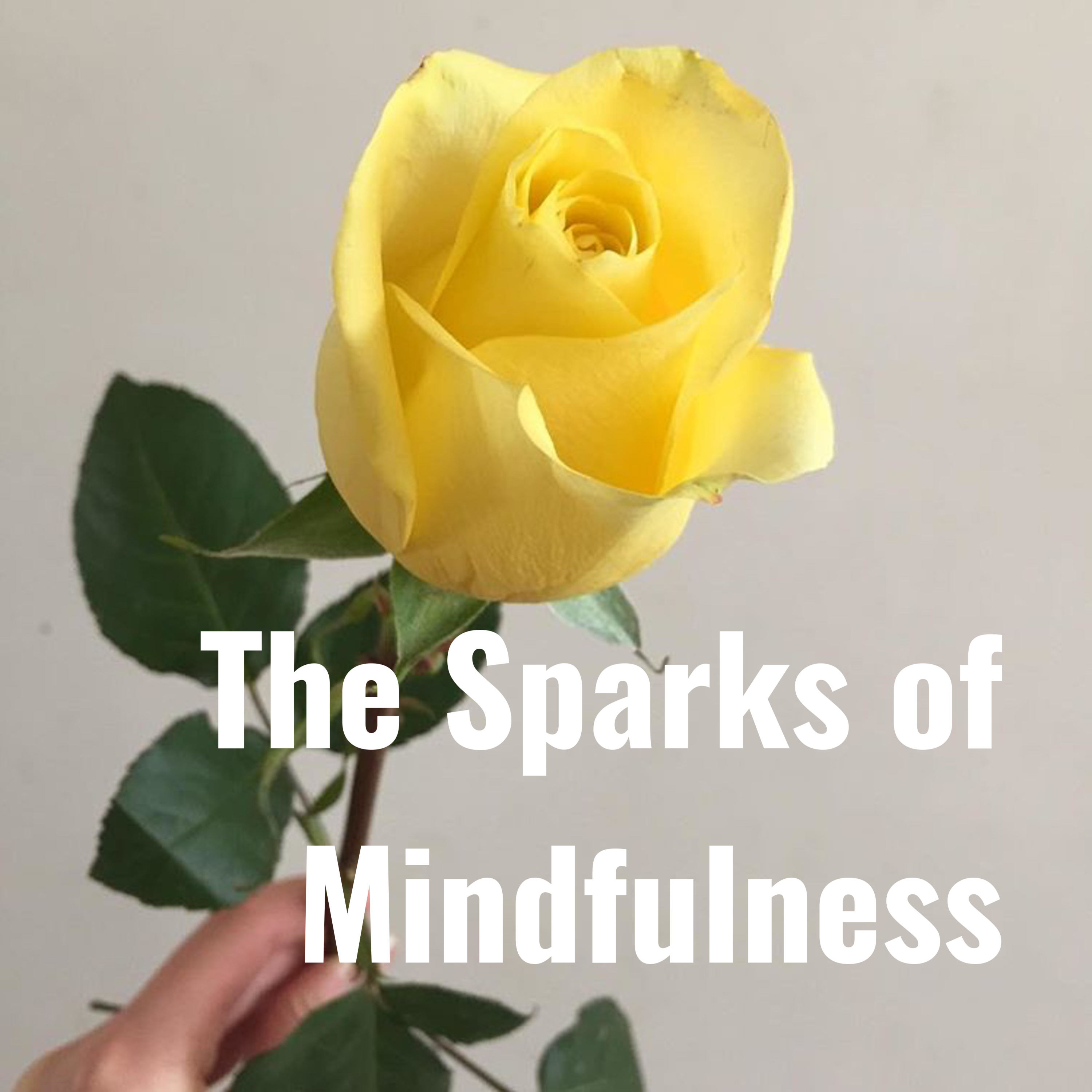 The Sparks of Mindfulness