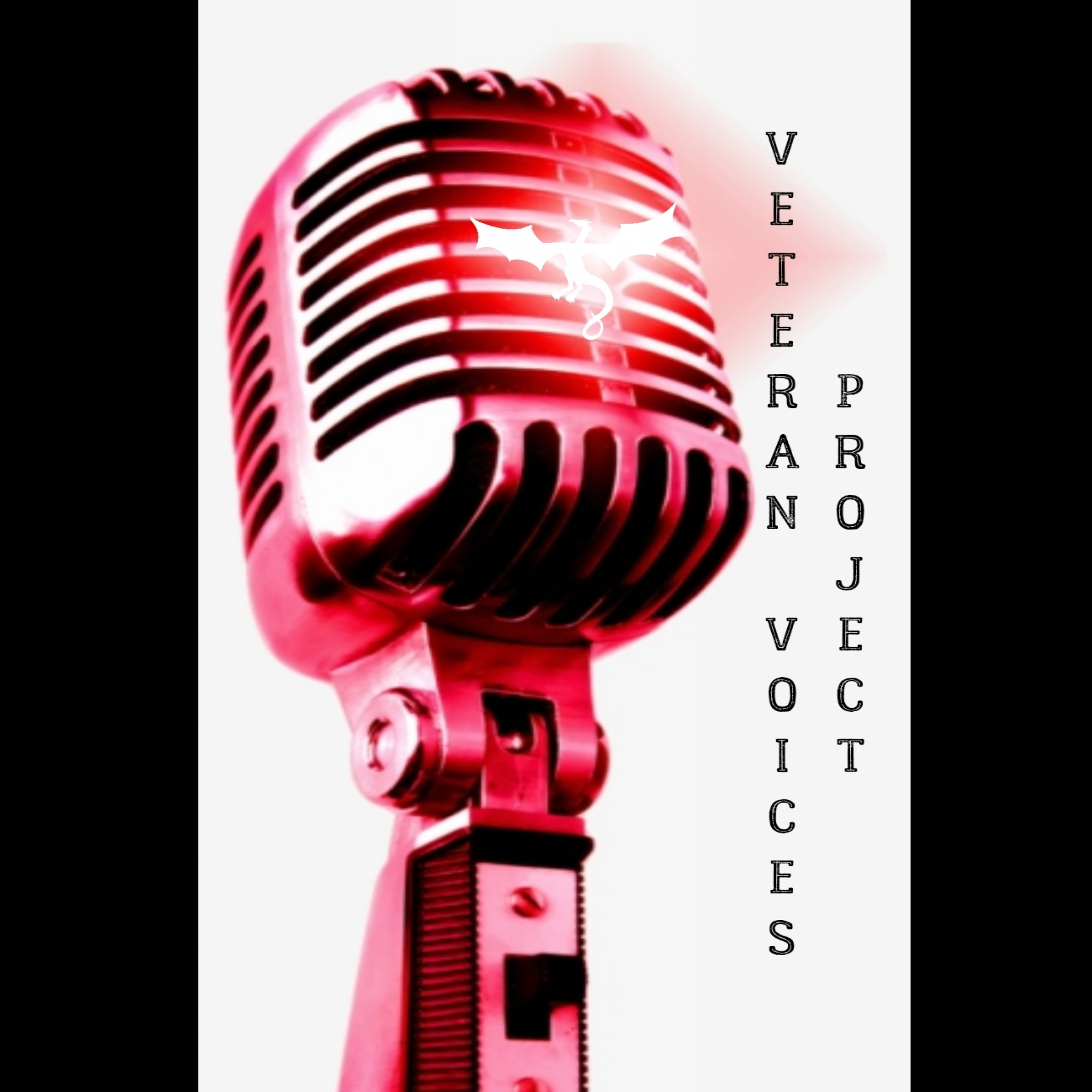 Veteran Voices Project artwork