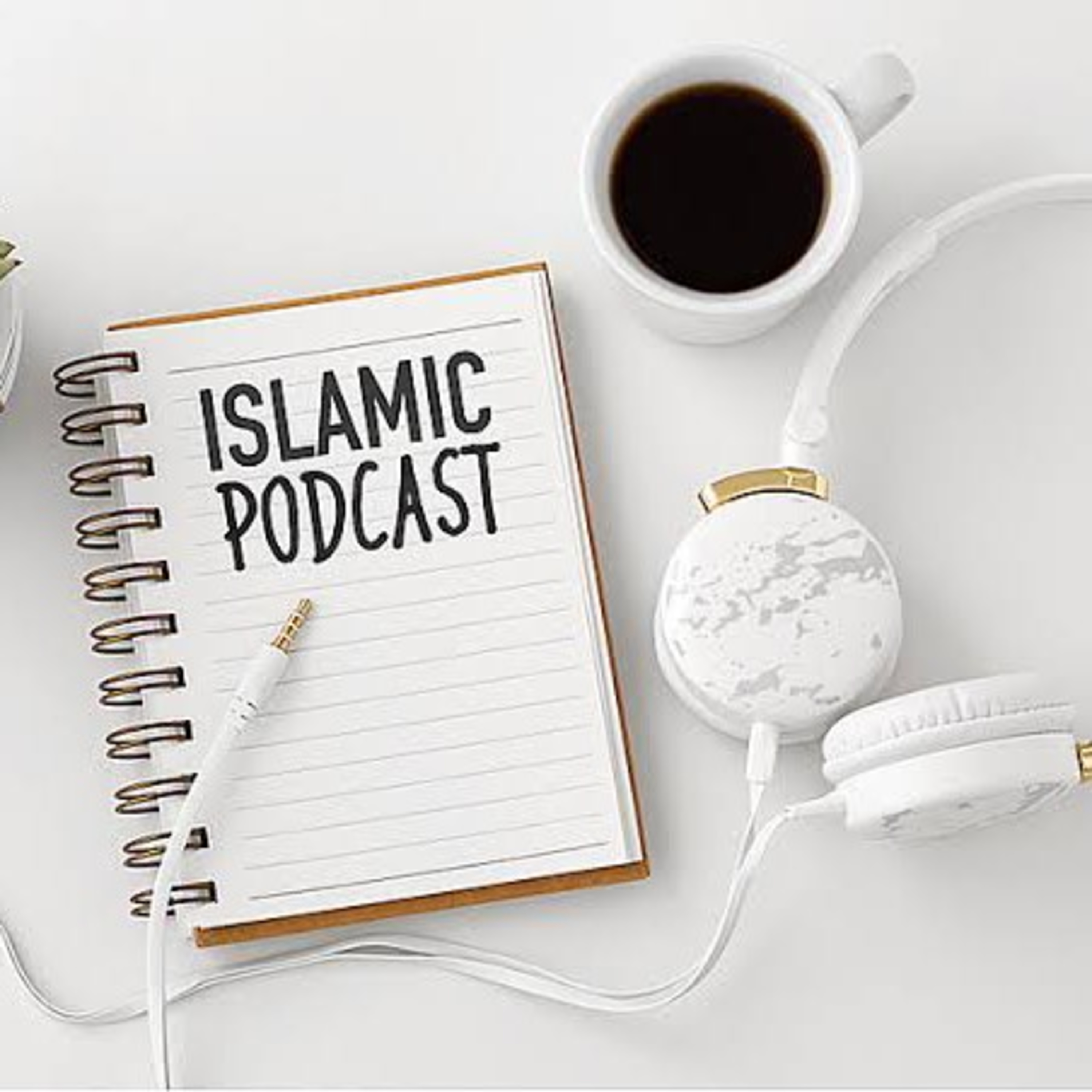 VOICE OF ISLAM