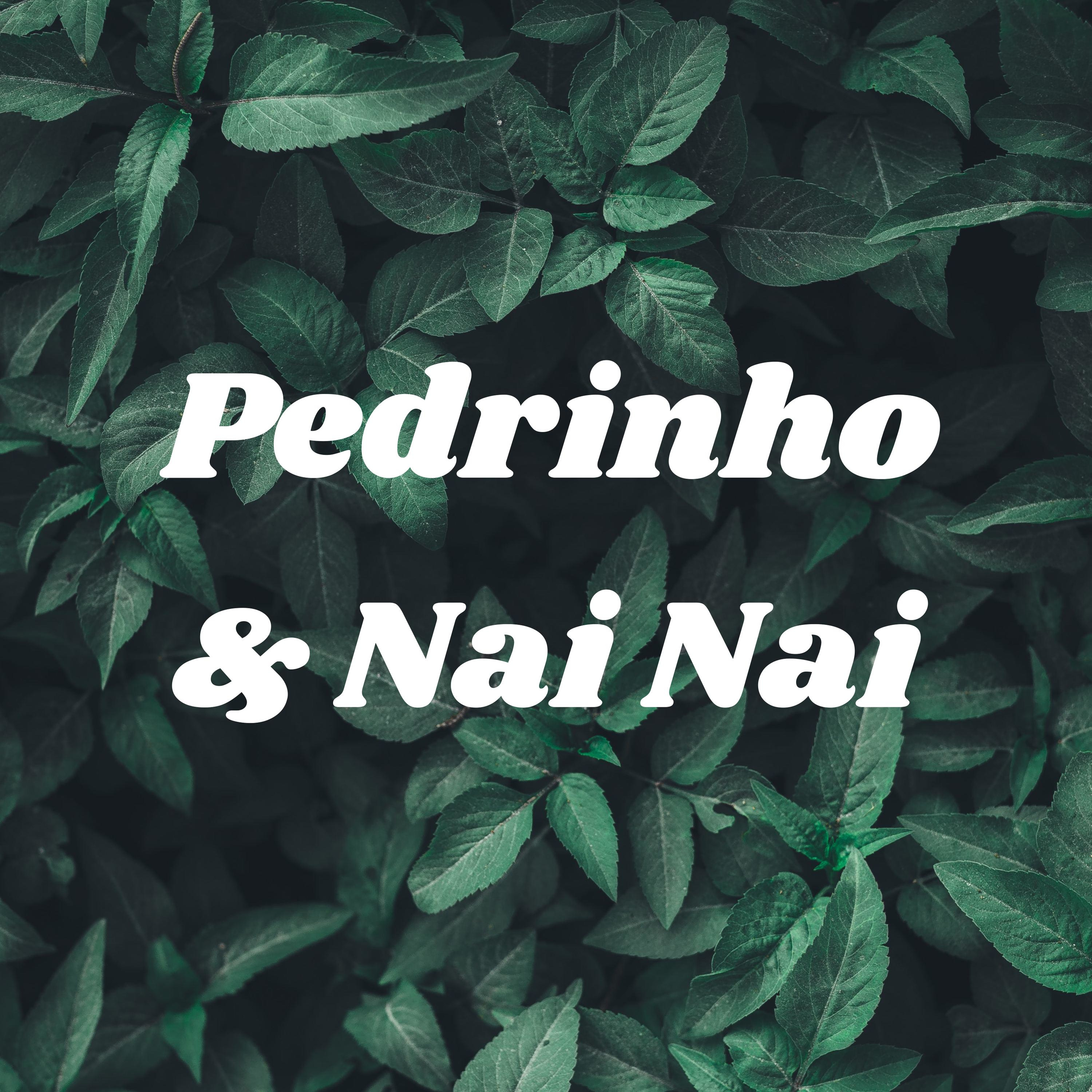 Pedrinho & Nai Nai