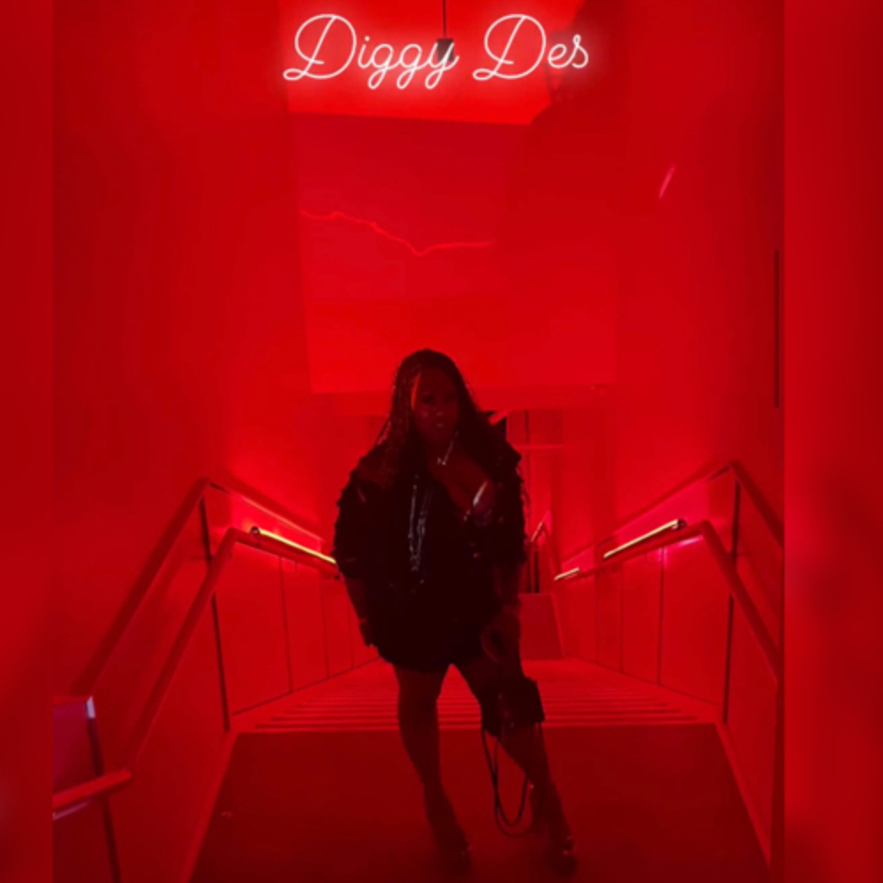 Destany Diggy Des podcast artwork