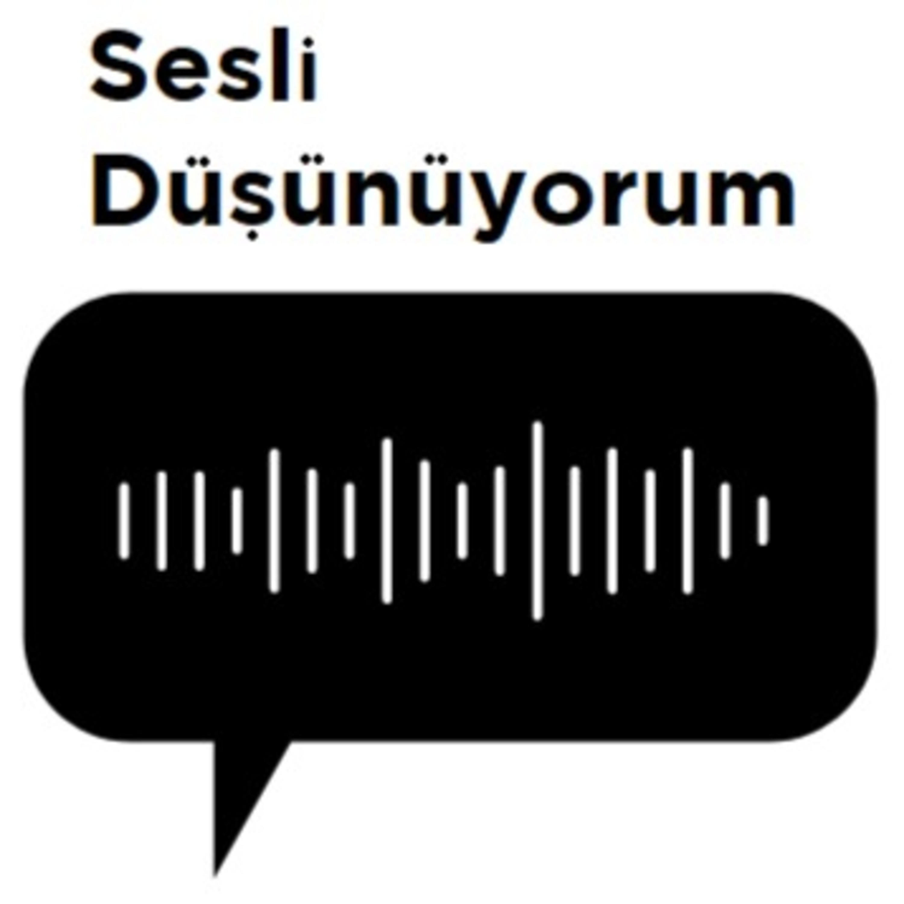Sesli Düşünüyorum