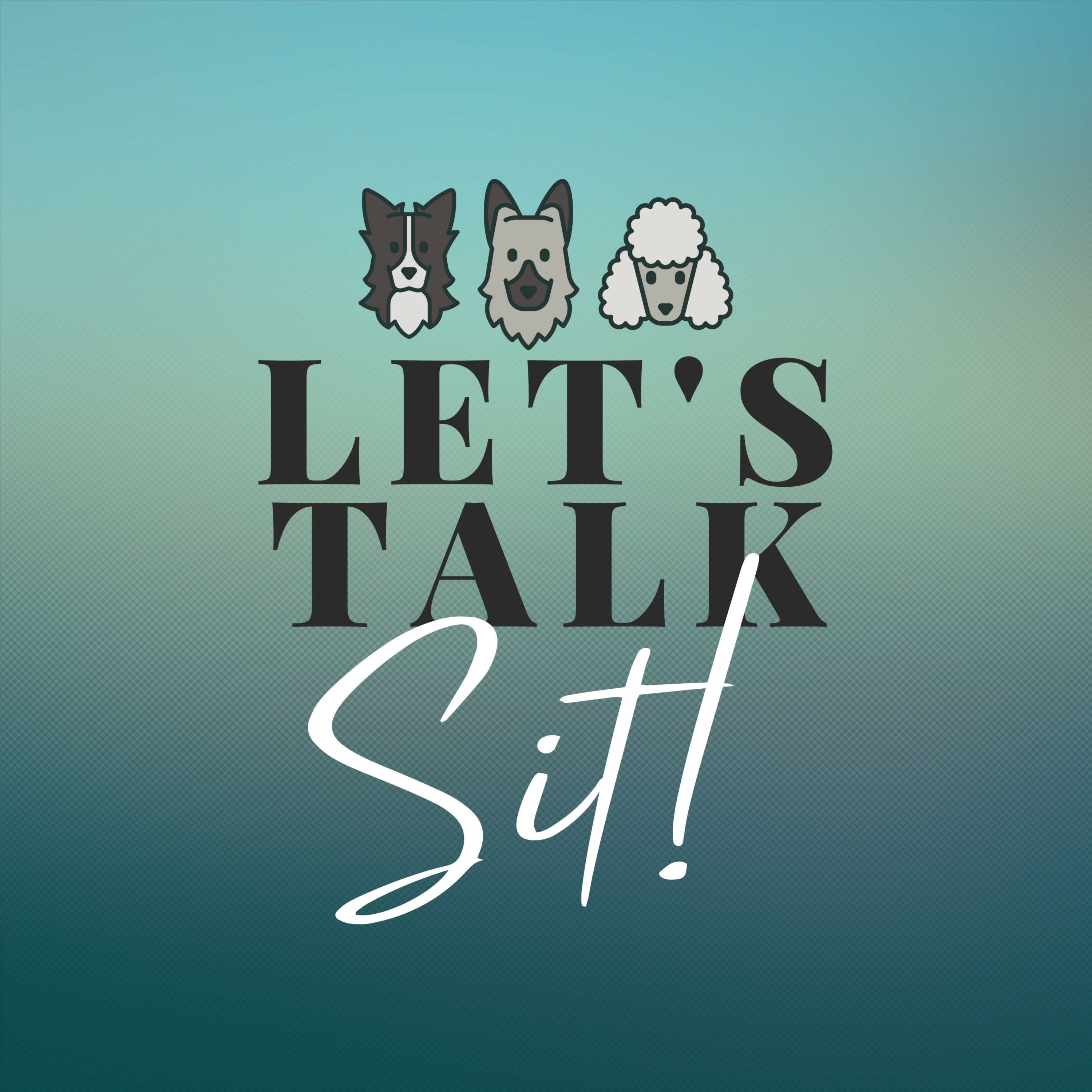 Let\'s Talk Sit!