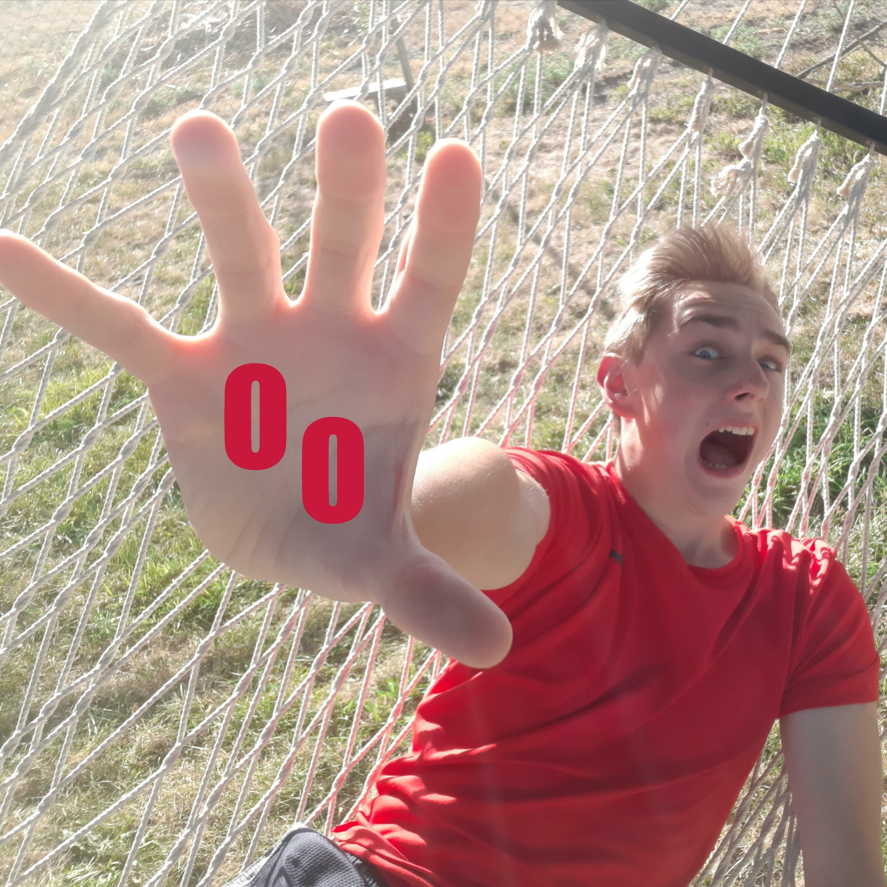 The O Show
