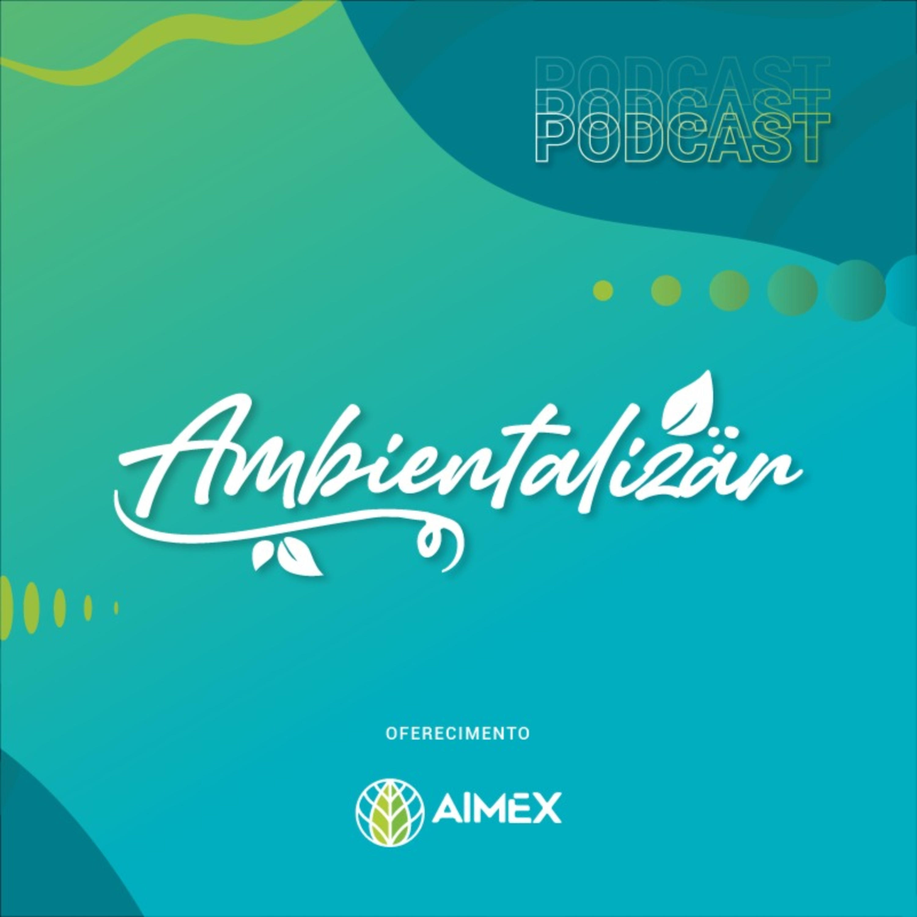 Ambientalizar cover