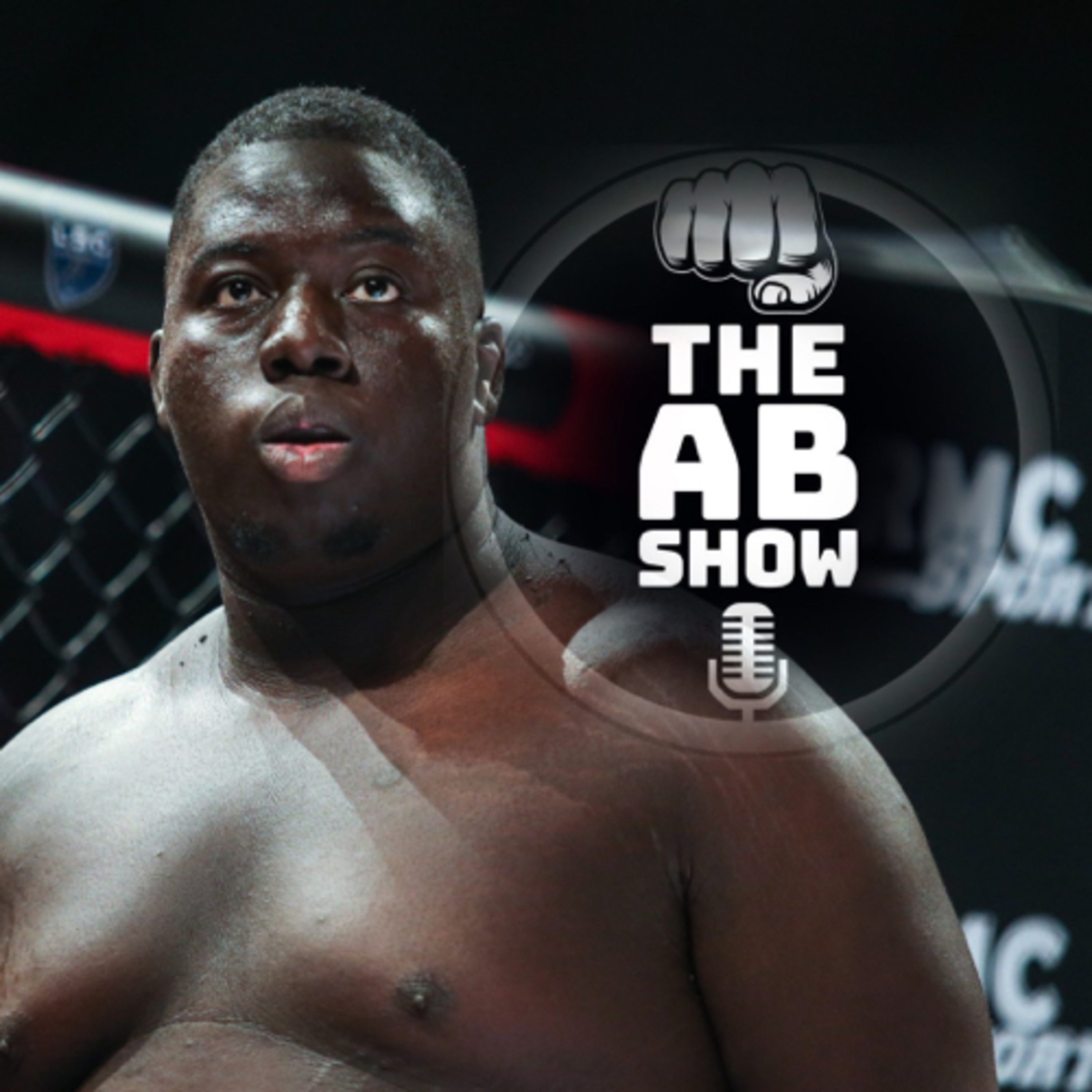 THE AB SHOW podcast artwork