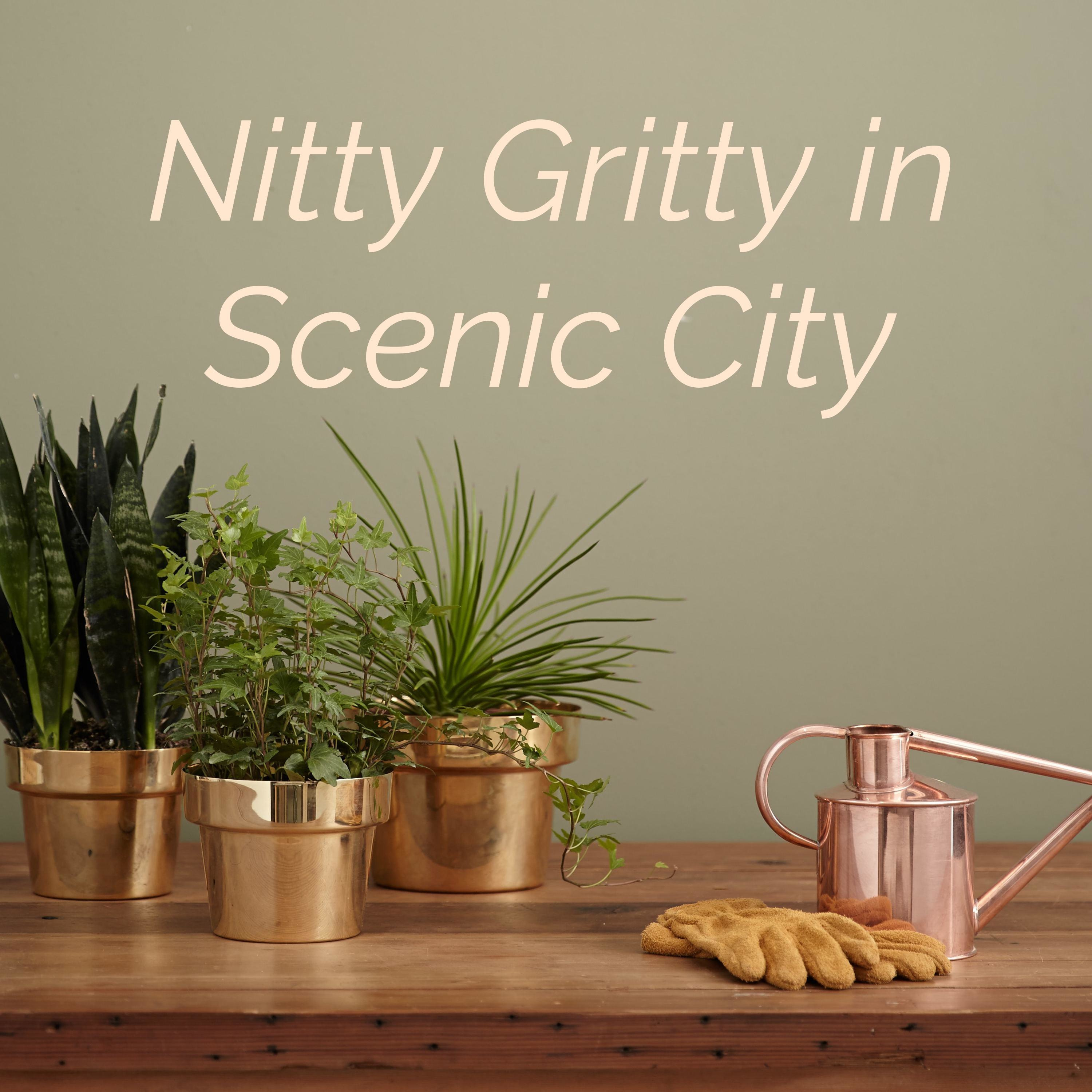 Nitty Gritty in Scenic City