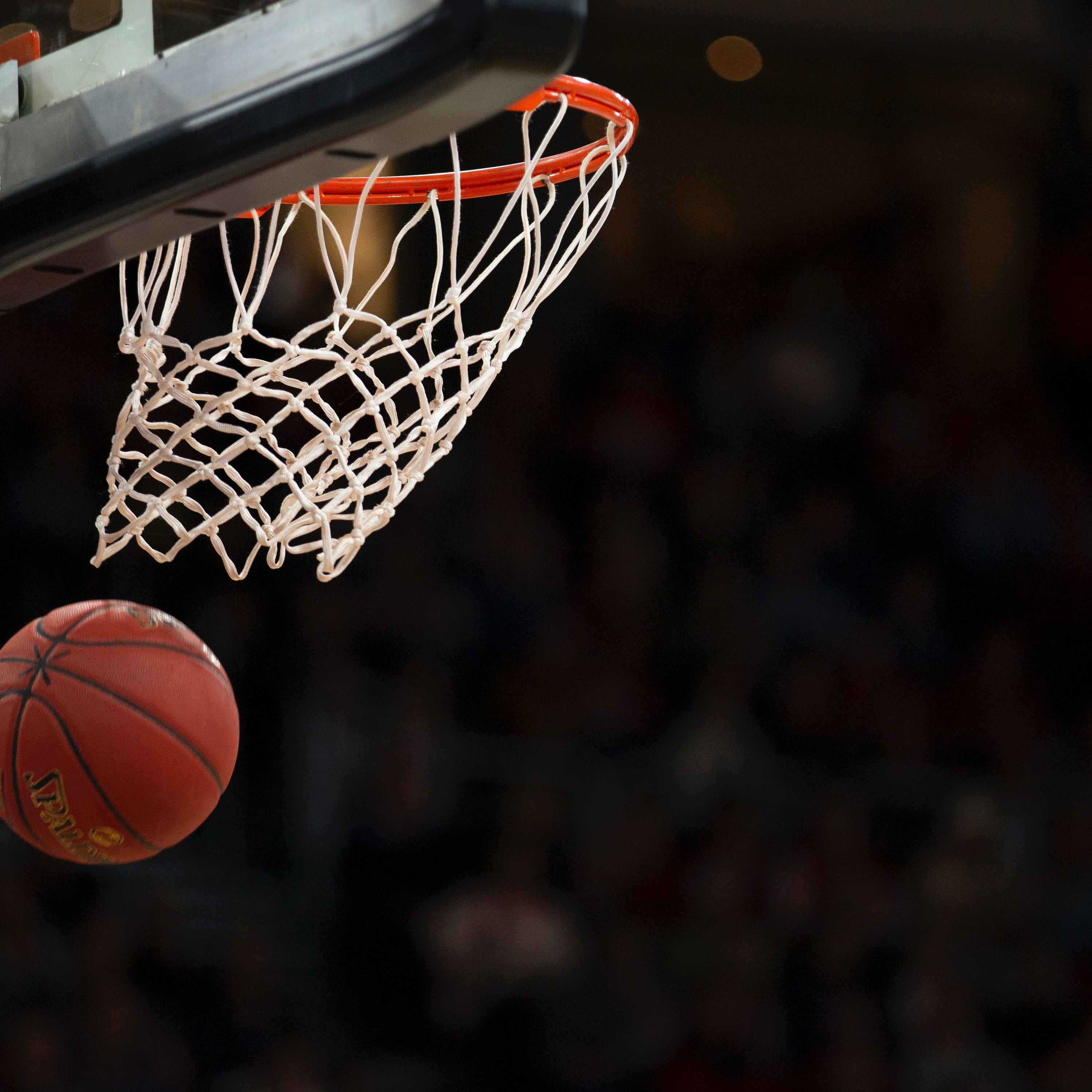 養樂多NBA雜談