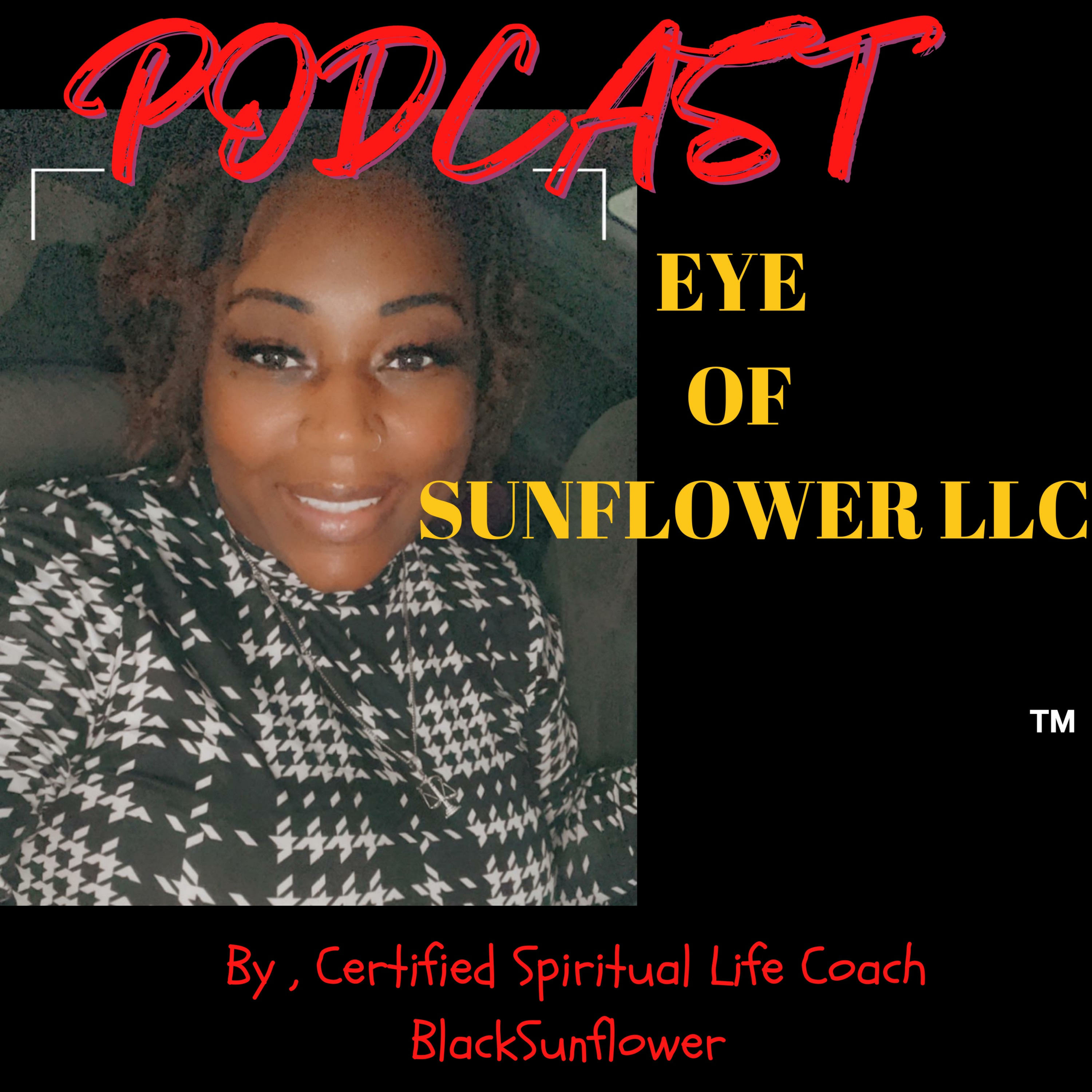 EYE OF SUNFLOWER LLC