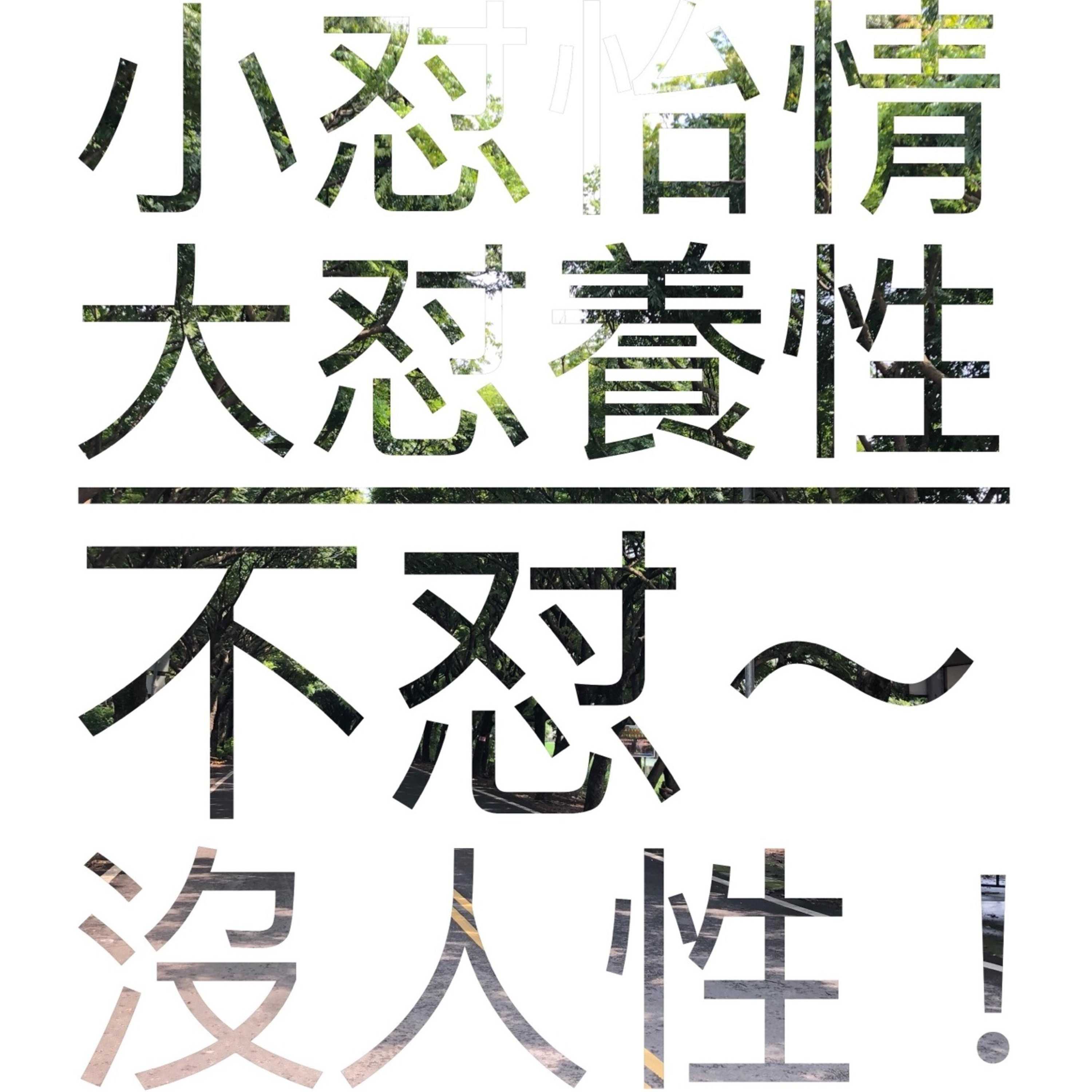 今天怼了嗎