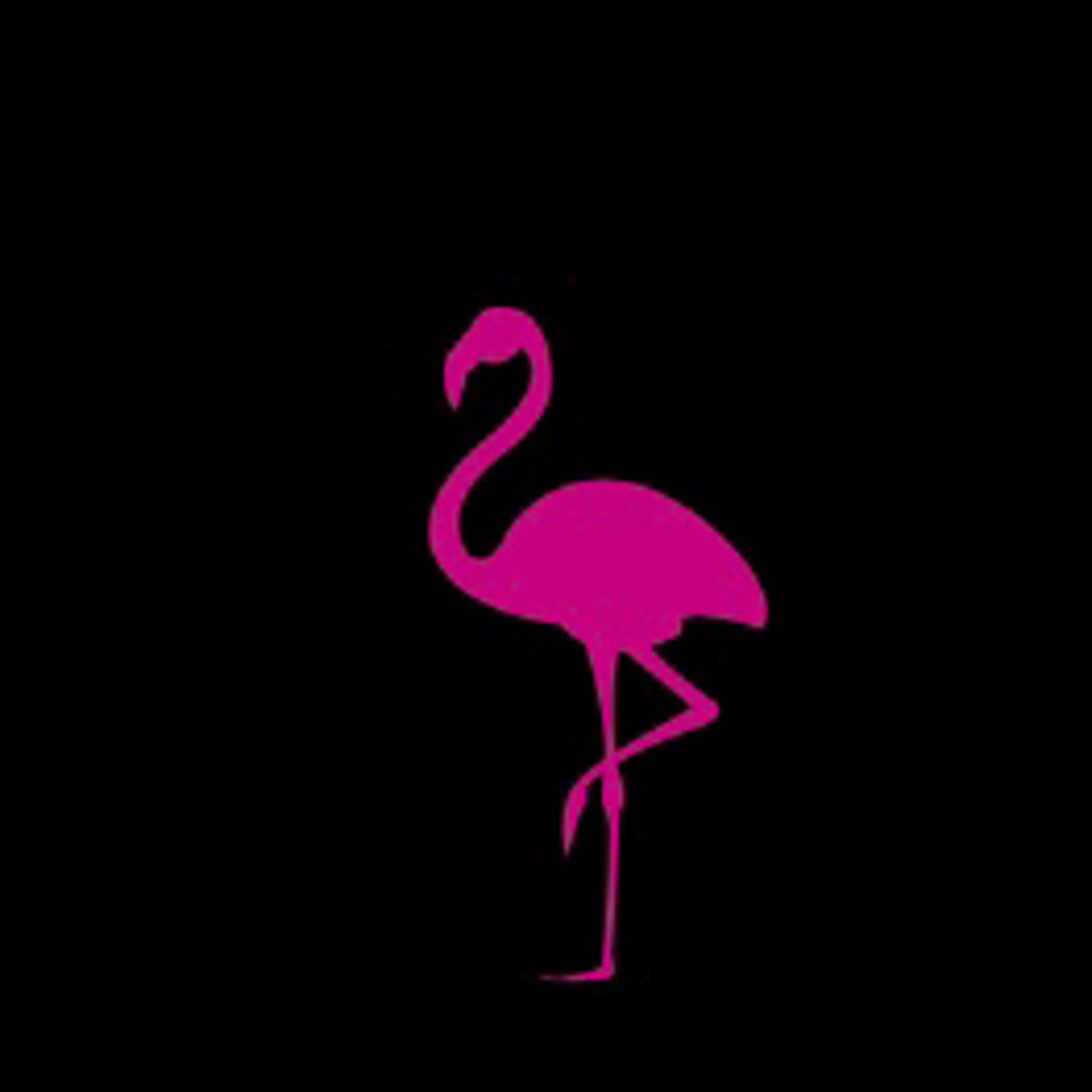 FlamencoChismosa