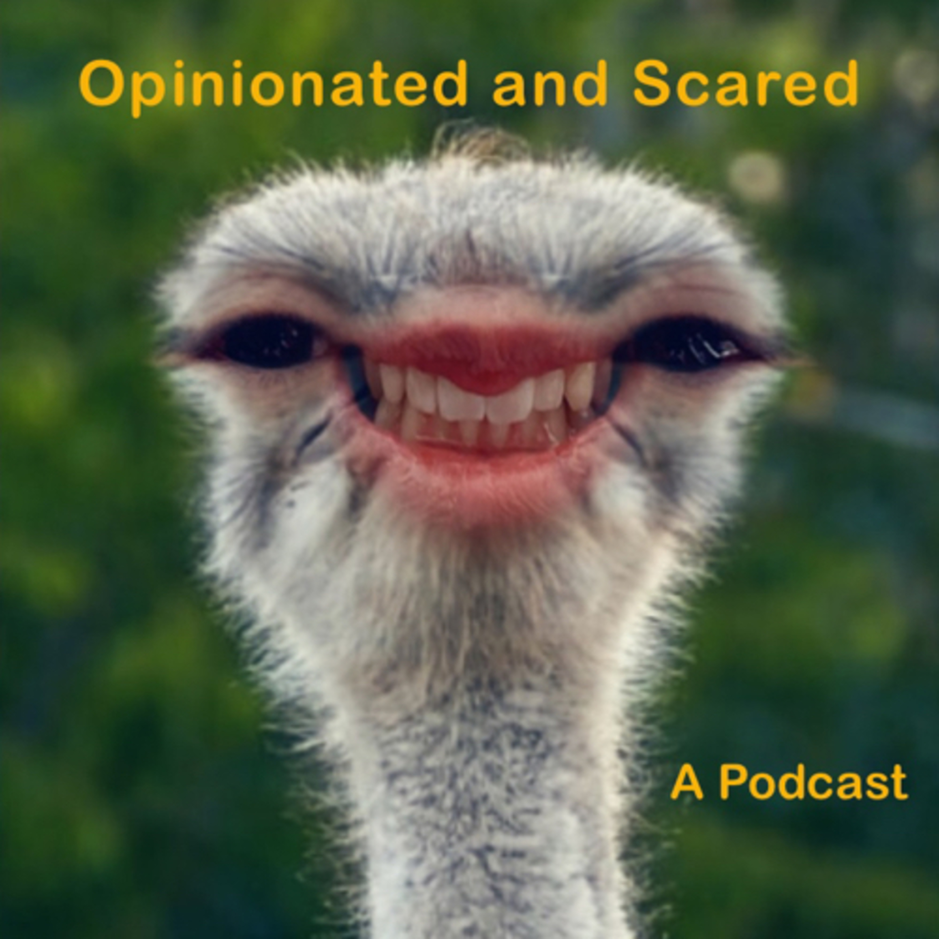 Opinionated and Scared: A Podcast