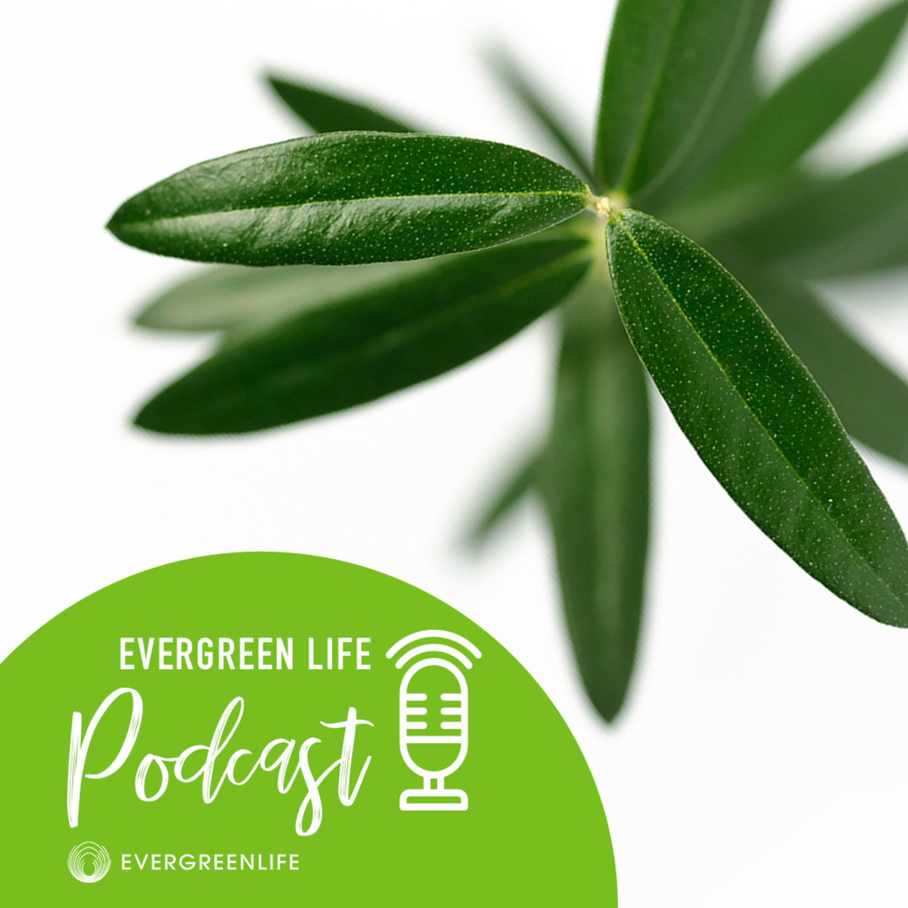 Evergreen Life Podcast