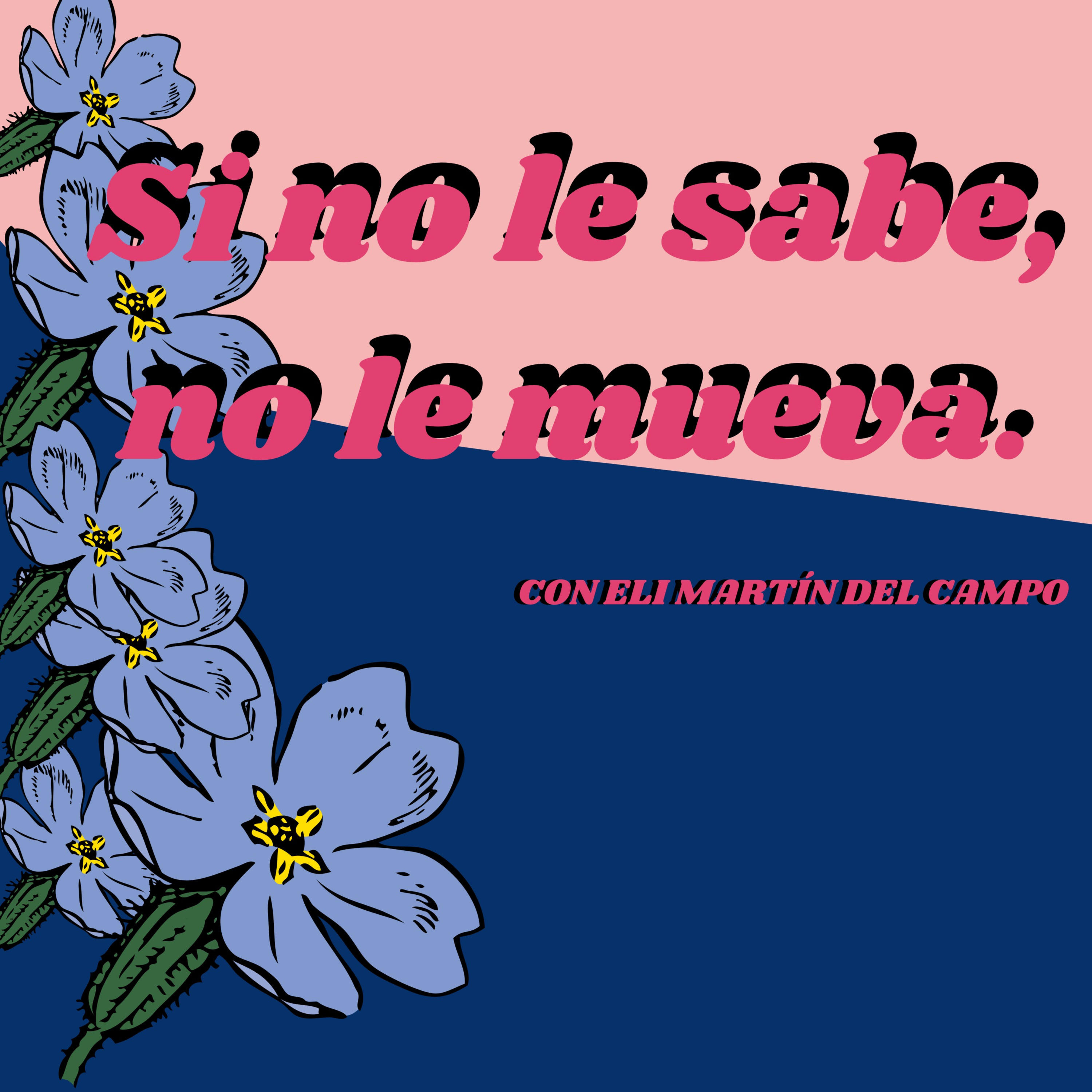 Si no le sabe, no le mueva.