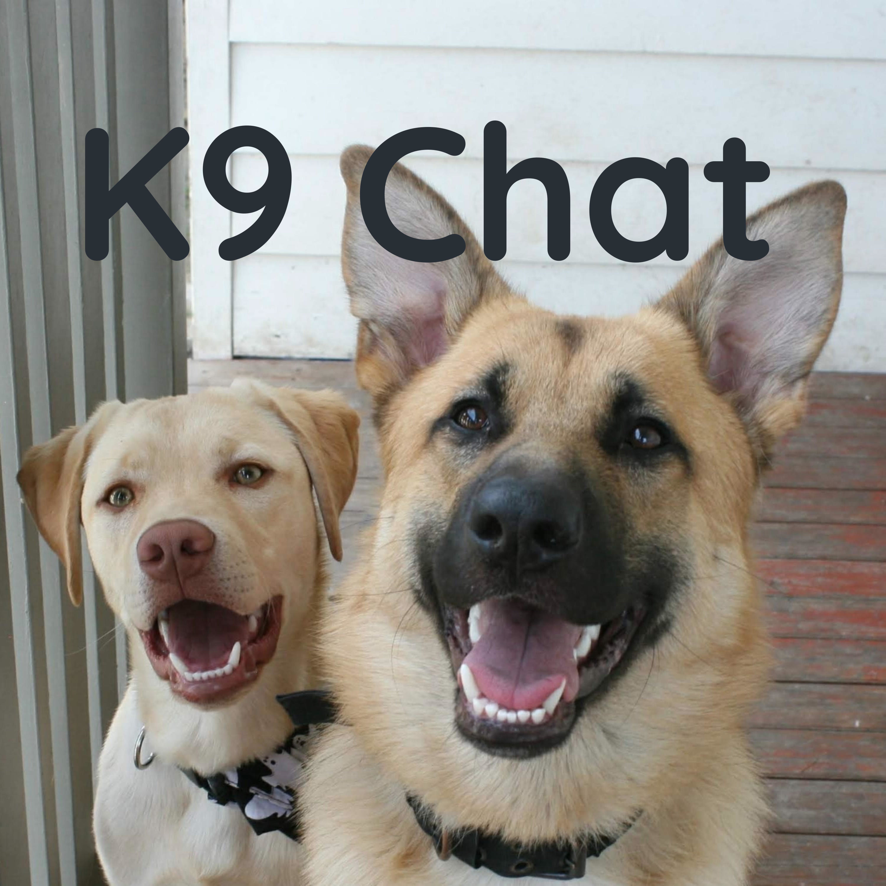 K9 Chat