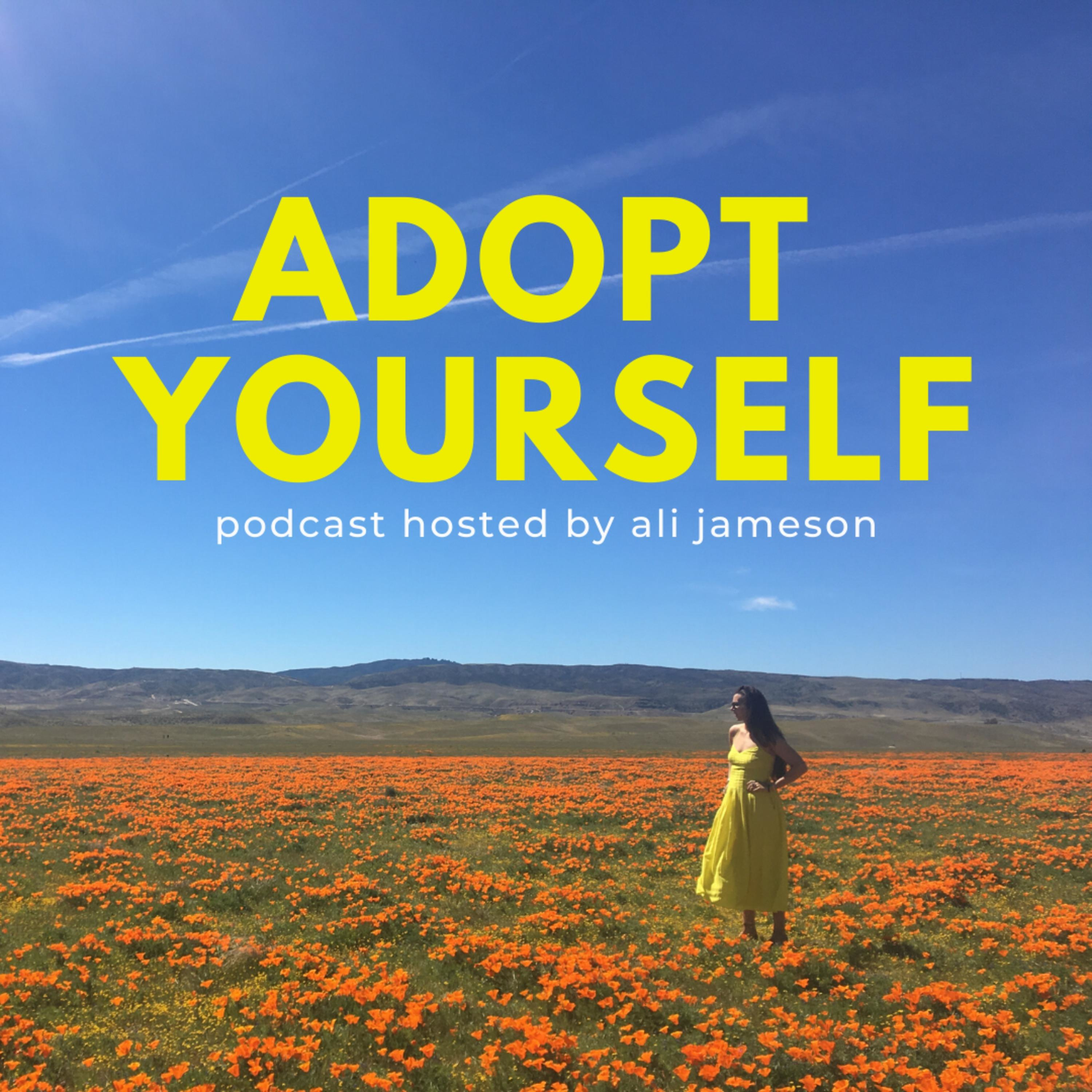 11: Navigating Biological Family Reunions Part 1