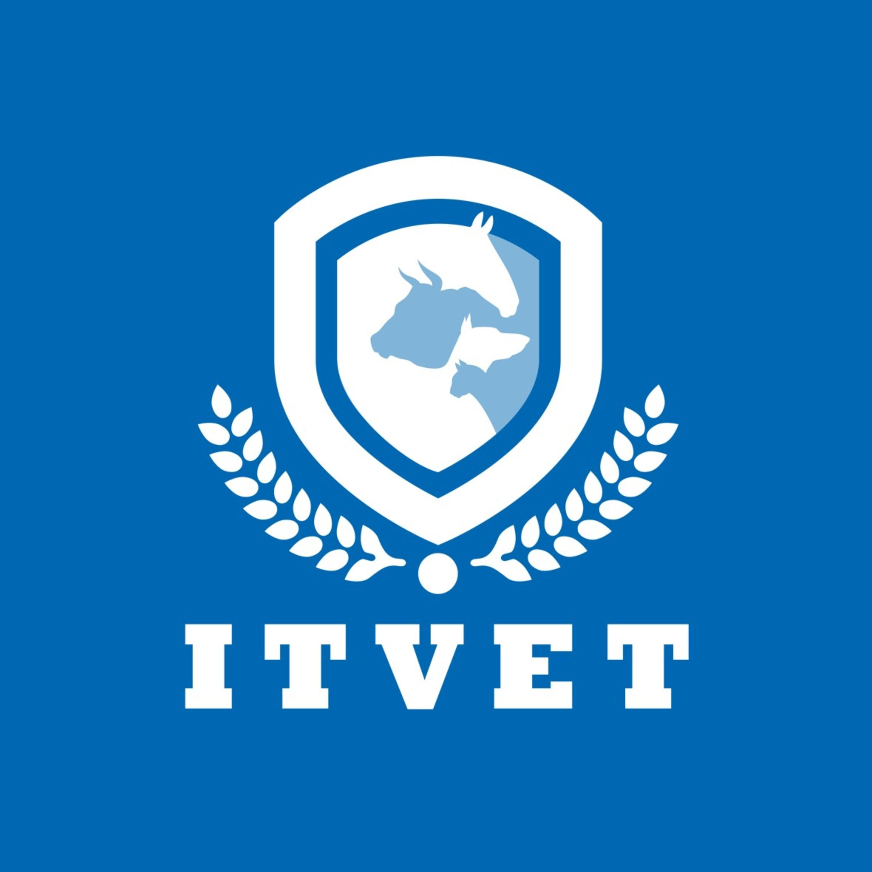 O ITVET na prática! podcast artwork