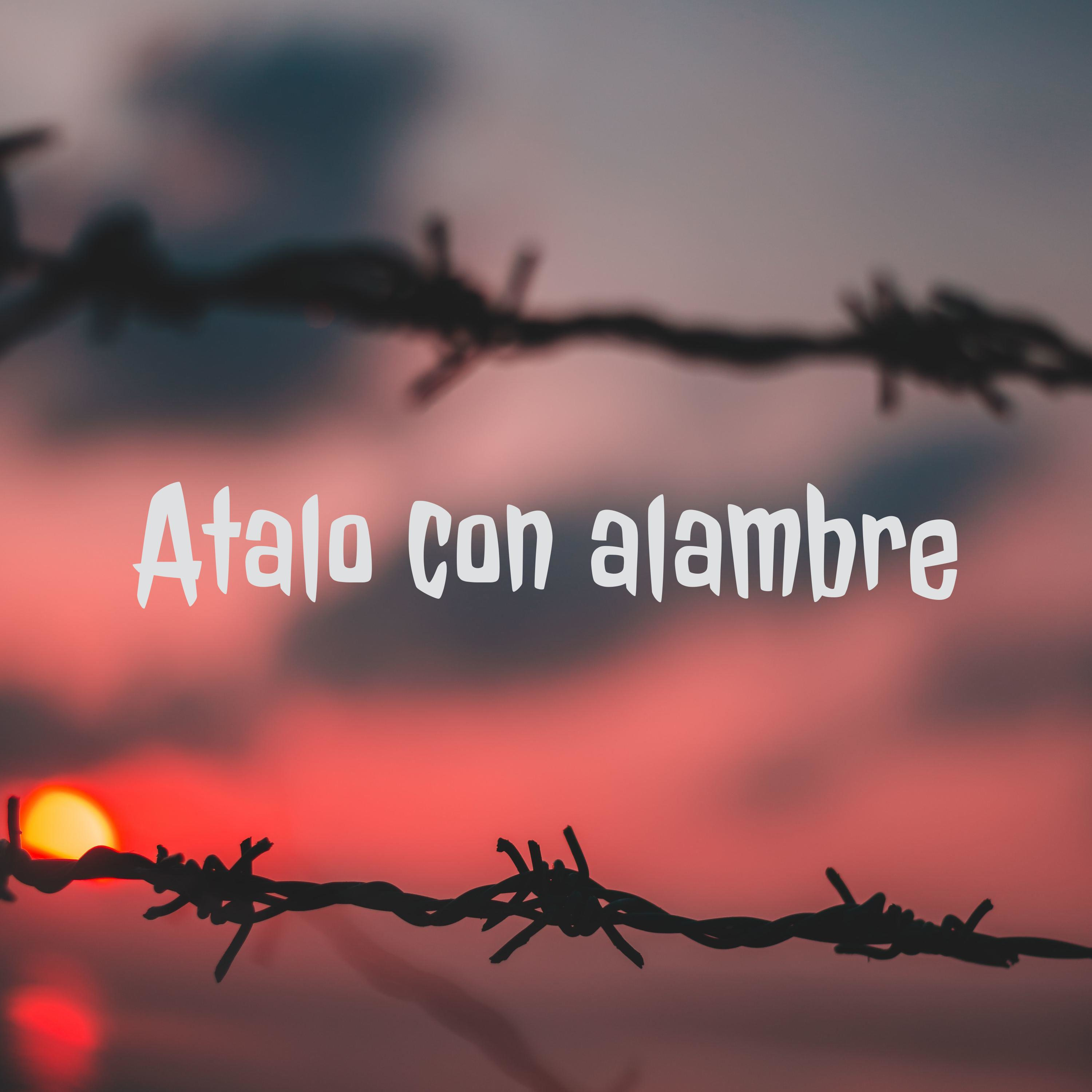 Hablando de política