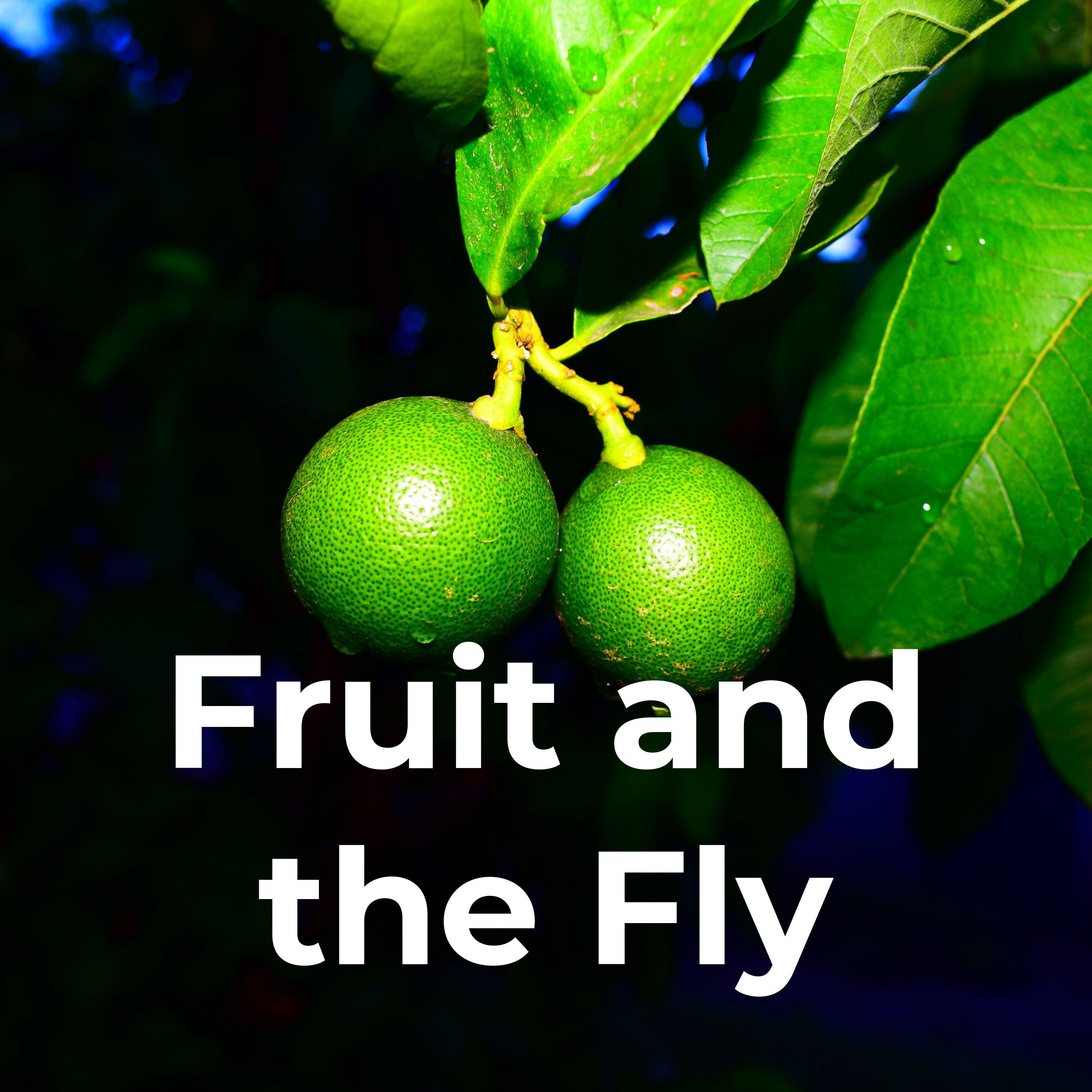 Fruit and the Fly podcast artwork