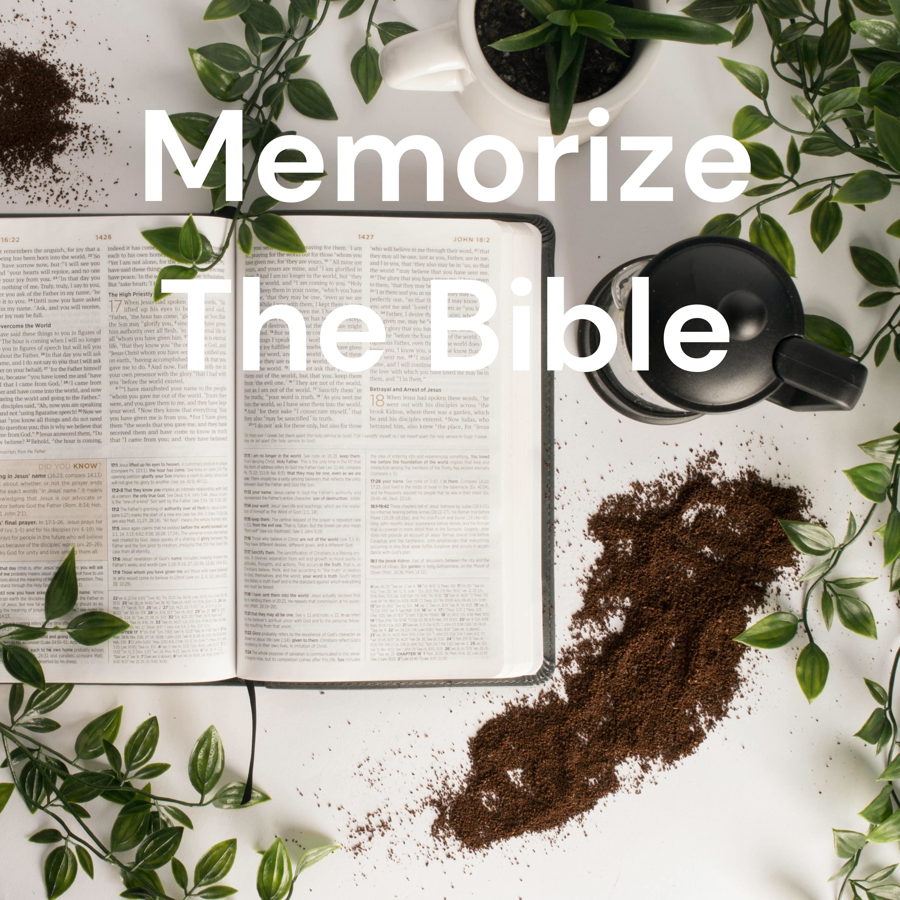 Memorize The Bible