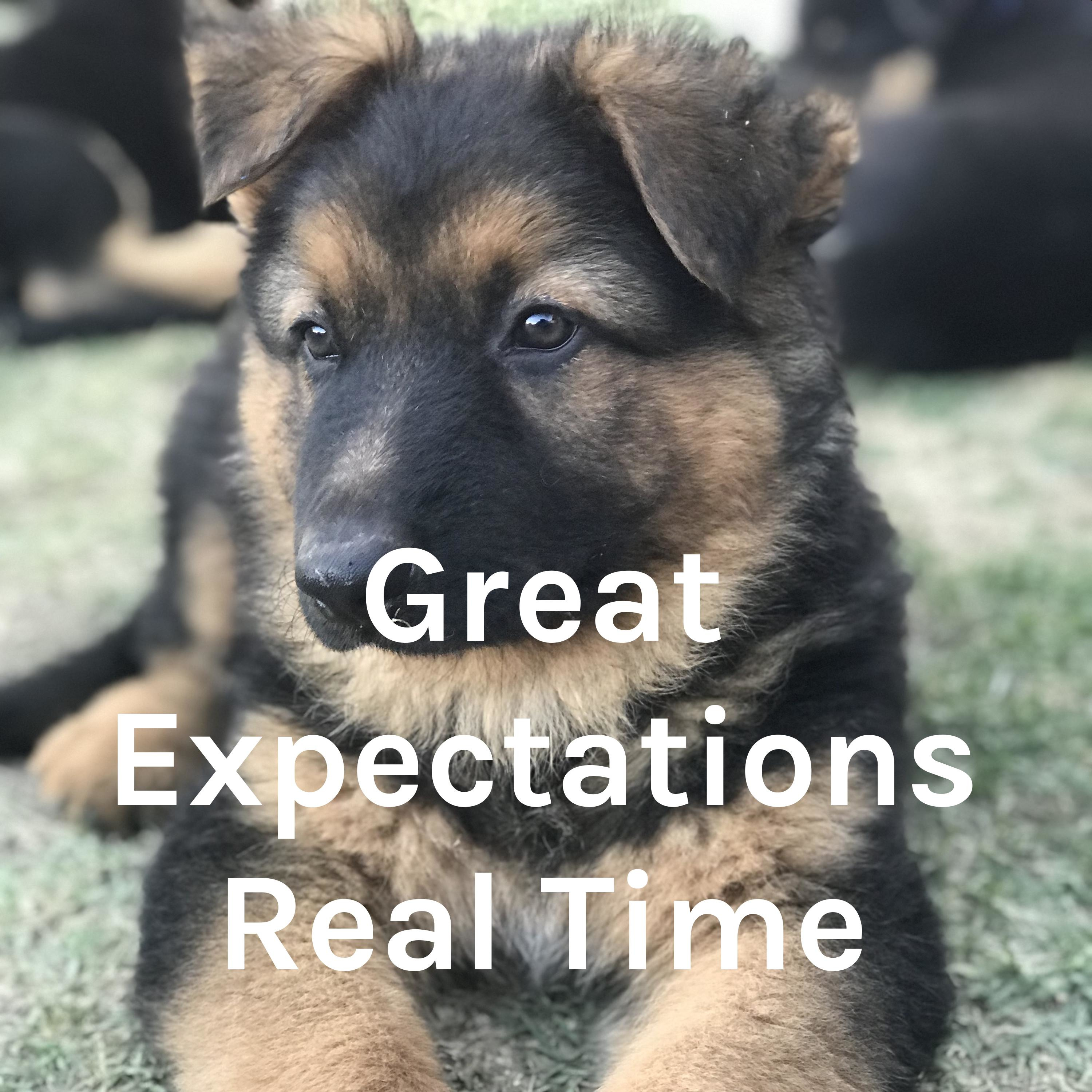 Great Expectations Real Time