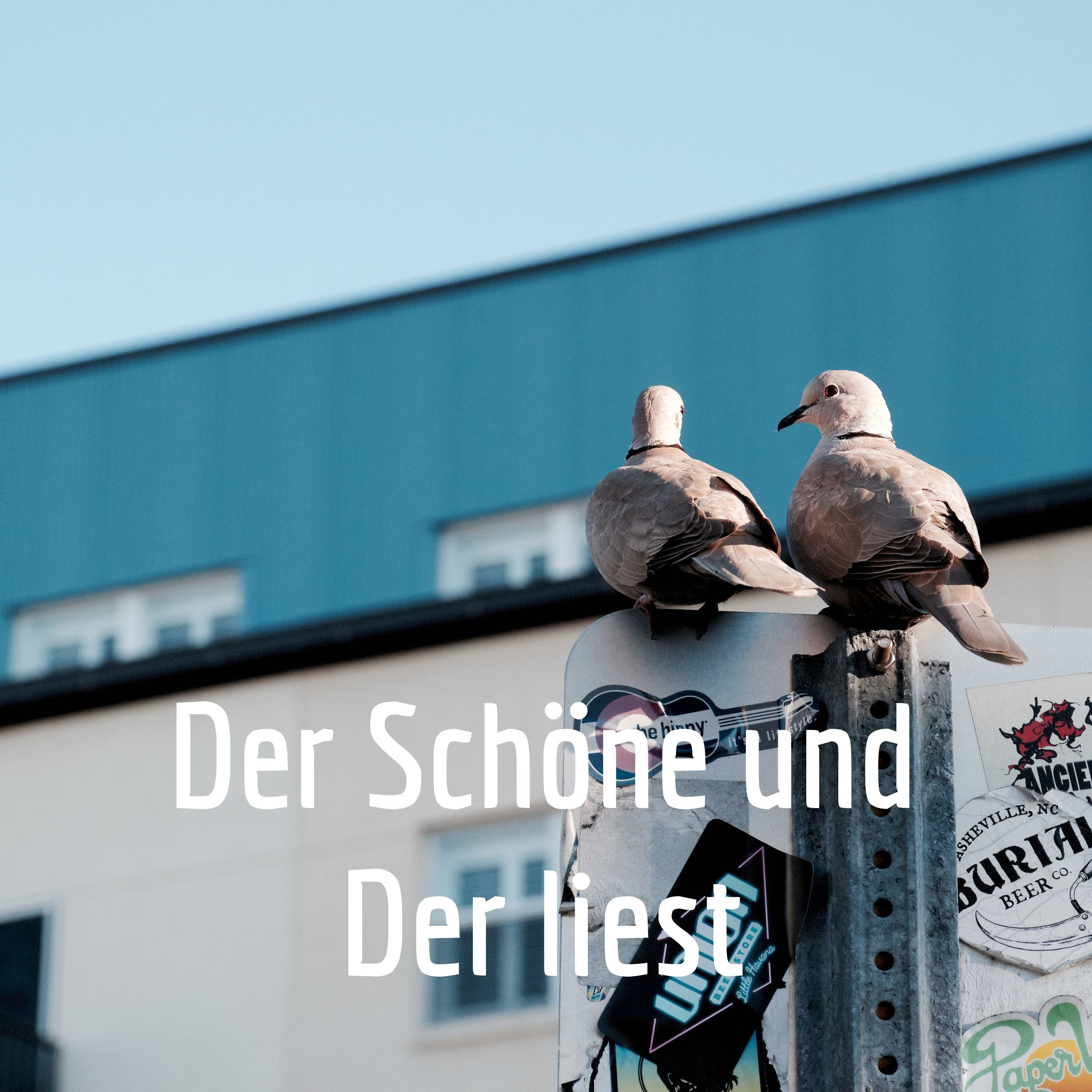 Der Schöne und Der liest