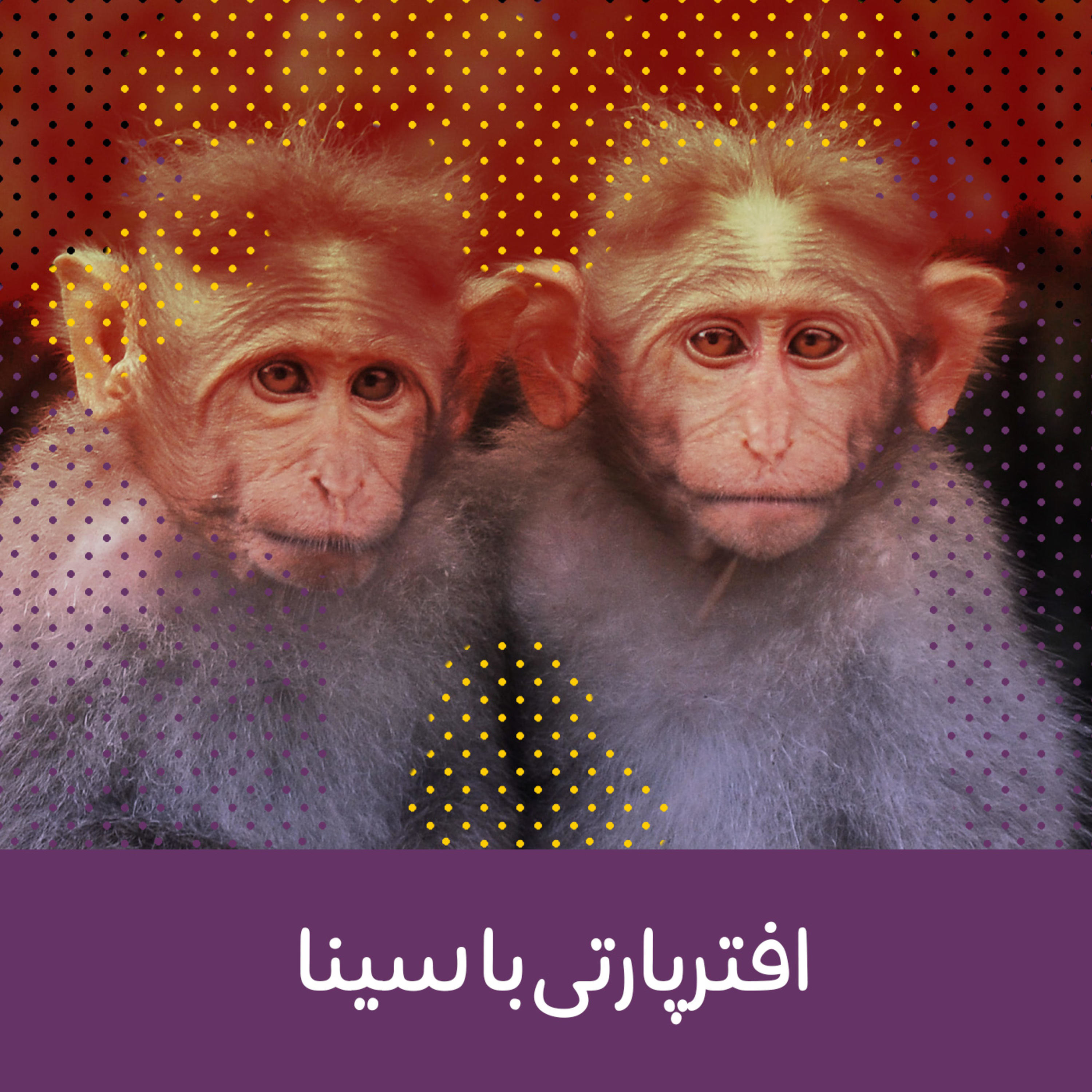 کاور افترپارتی با سینا