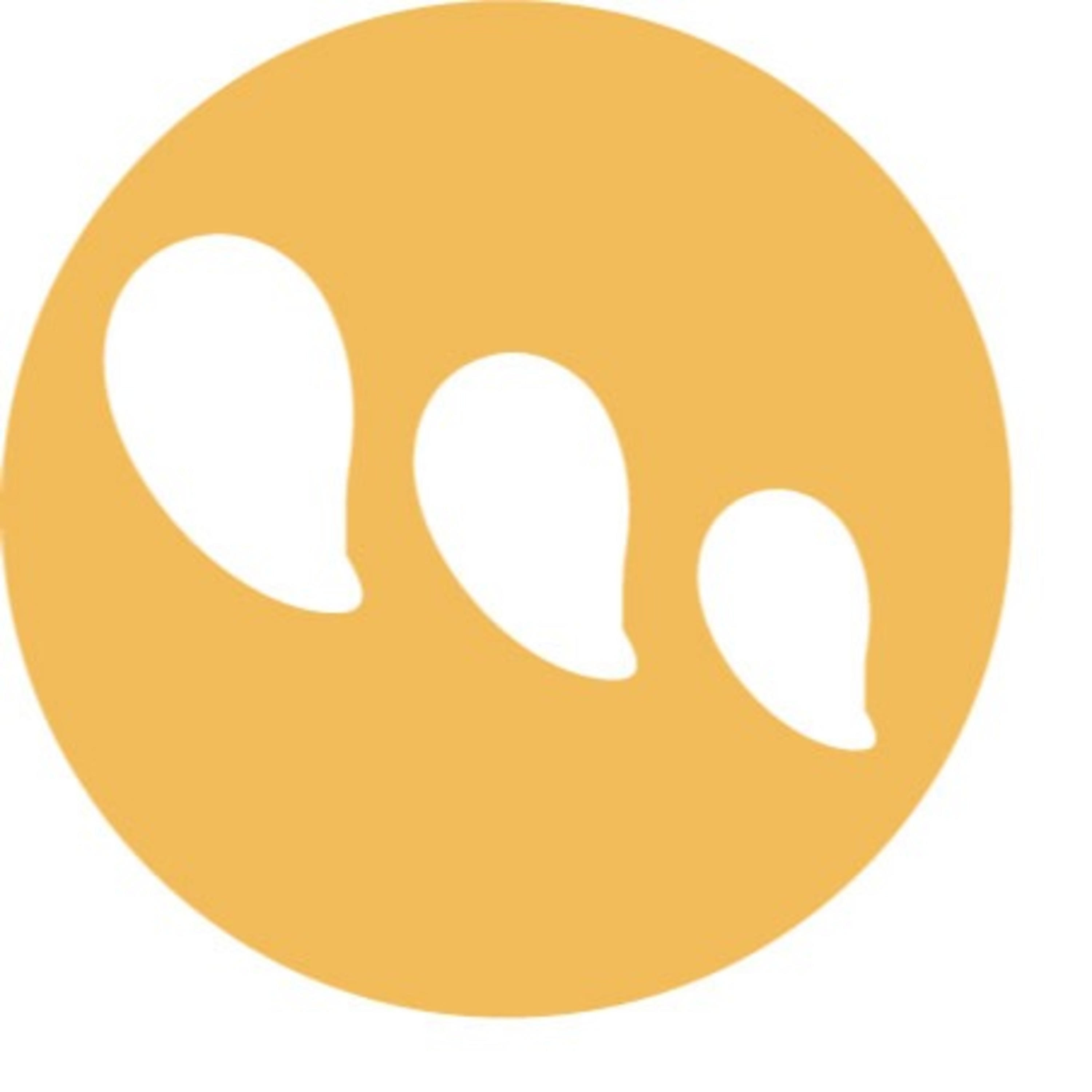 Software Whitelisting or Blacklisting Software Whitelisting or Blacklisting