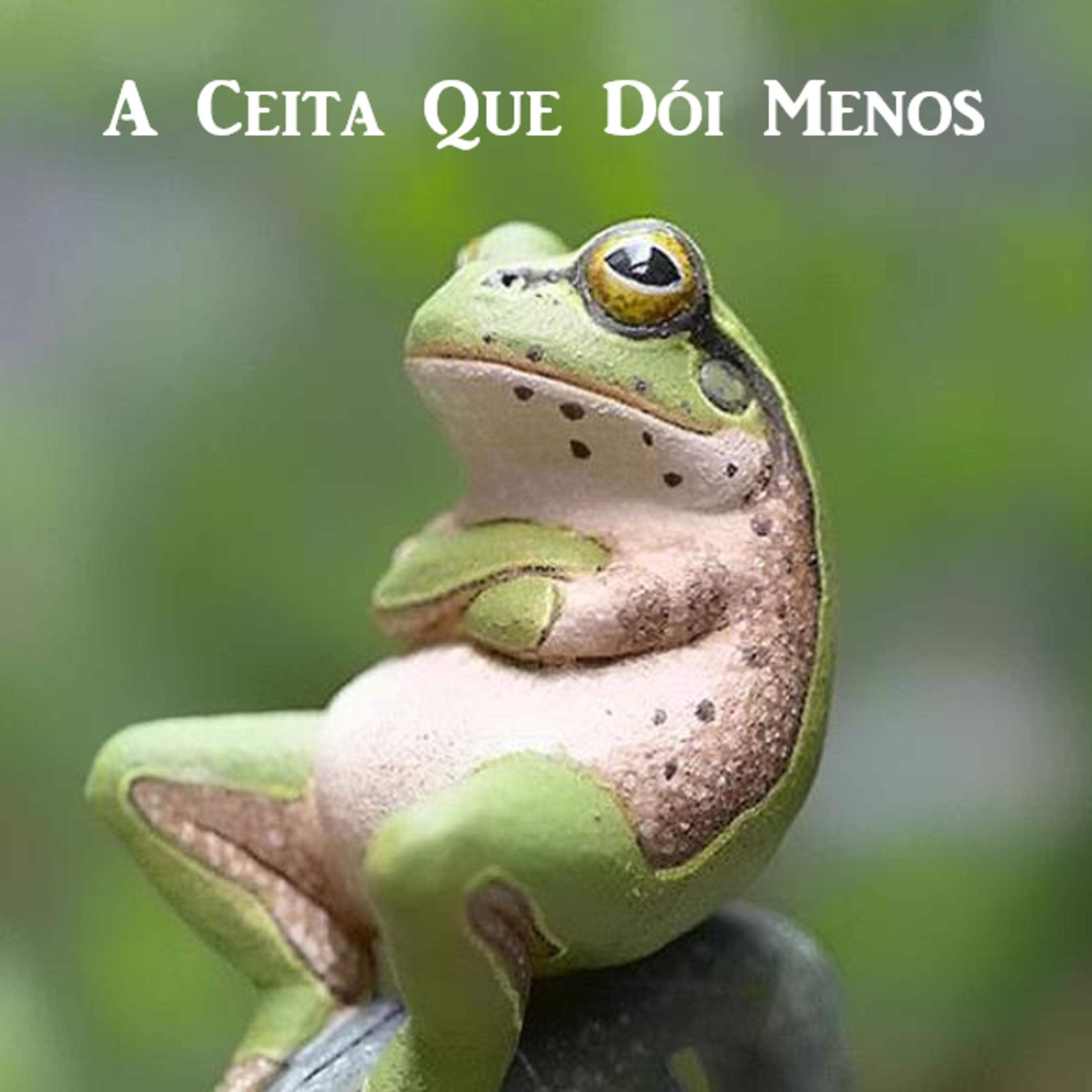 A Ceita Que Dói Menos podcast artwork