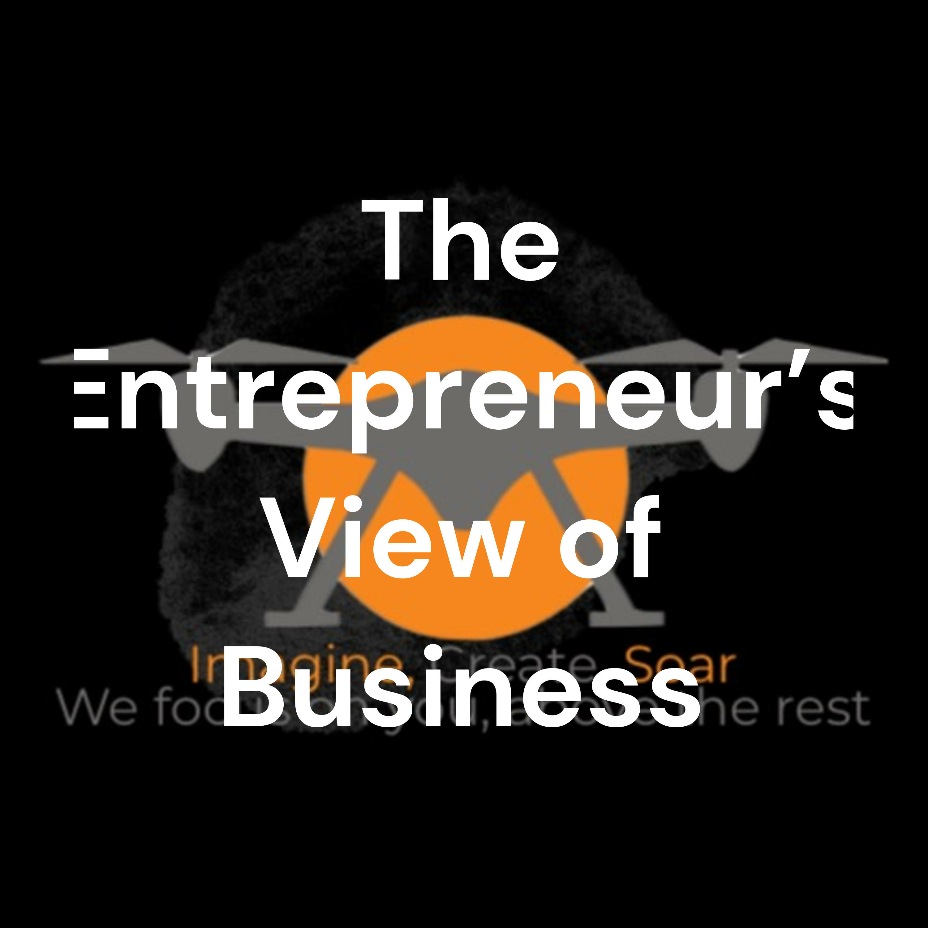 The Entrepreneur\'s View of Business