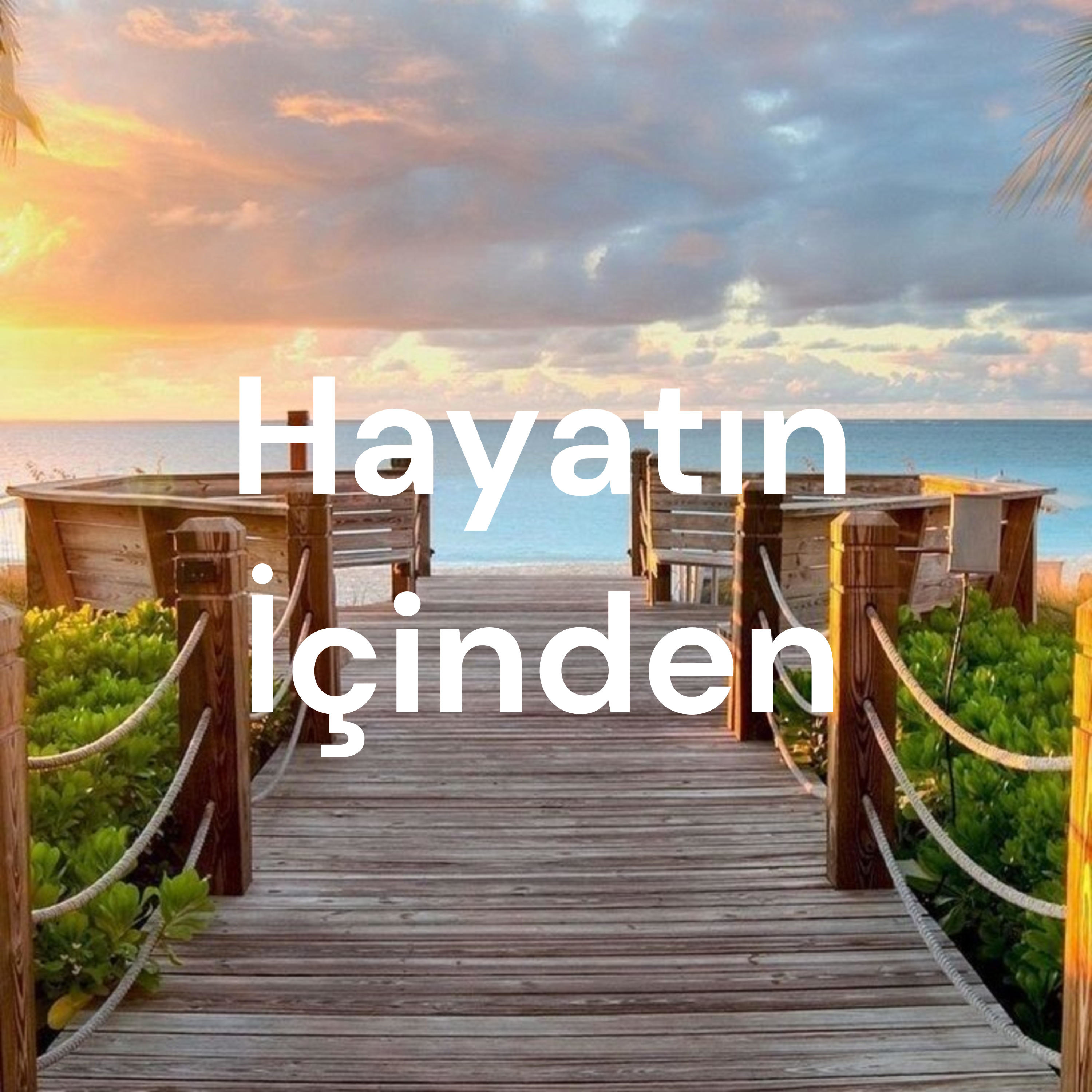 Hayatın İçinden