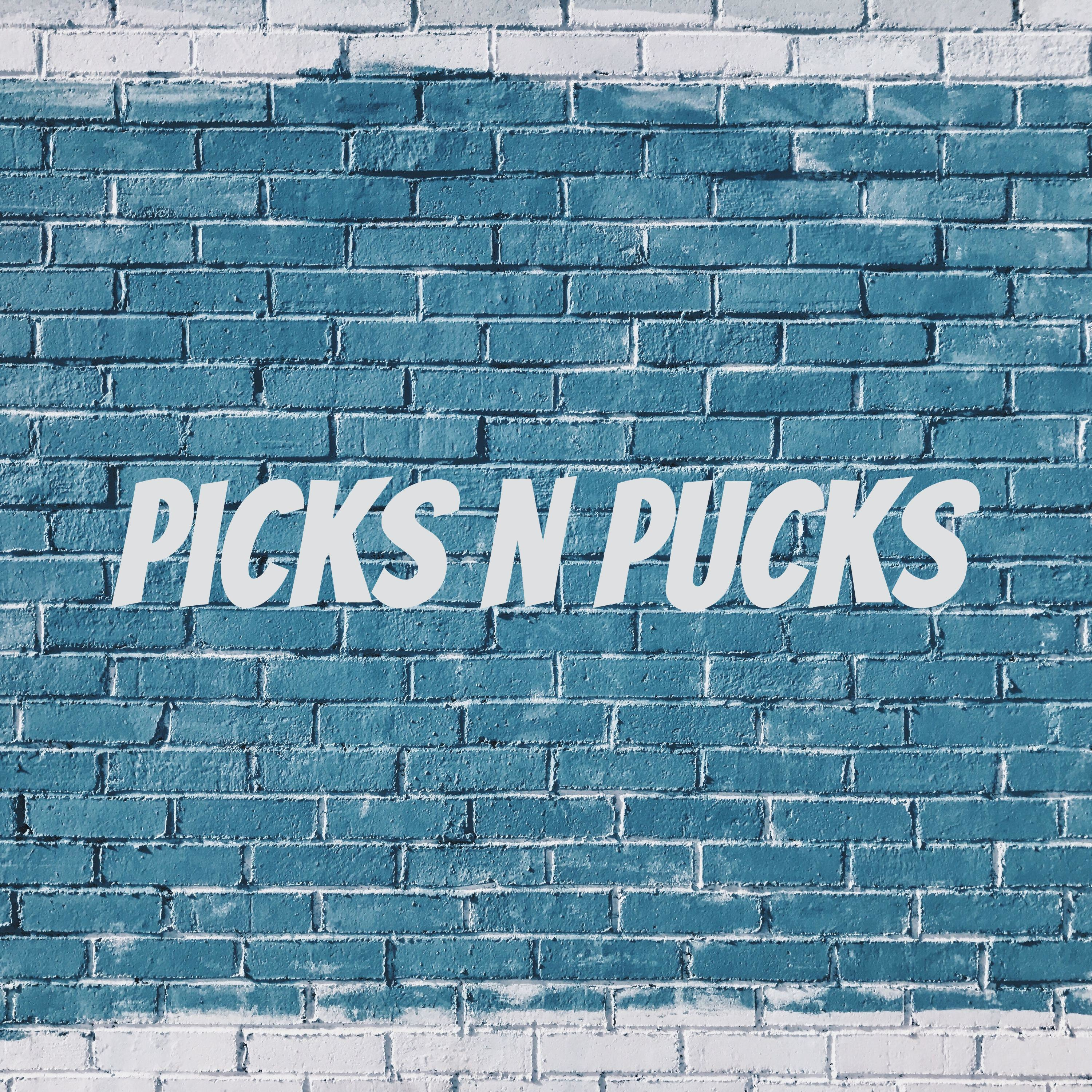 Picks n Pucks