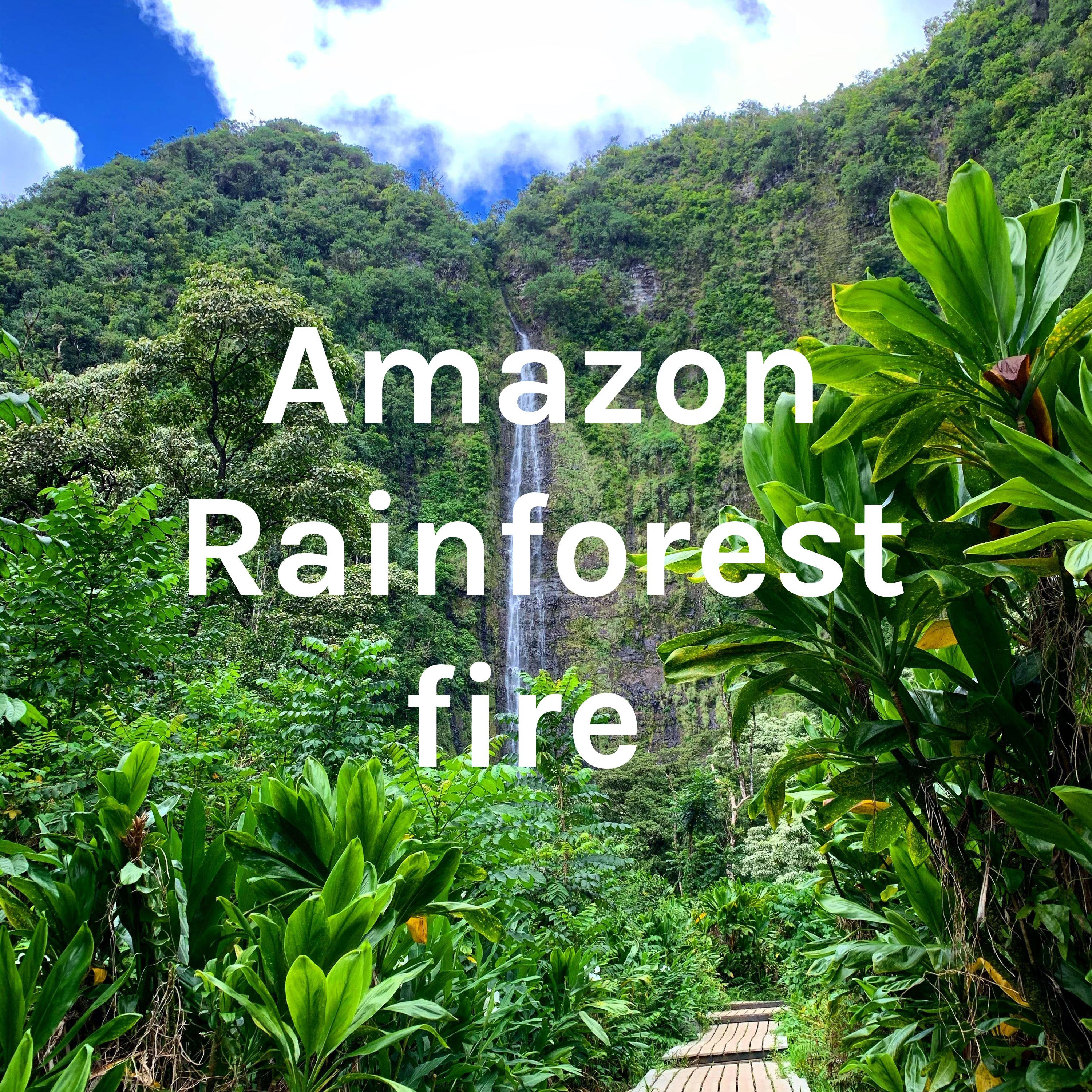 Amazon Rainforest fire 