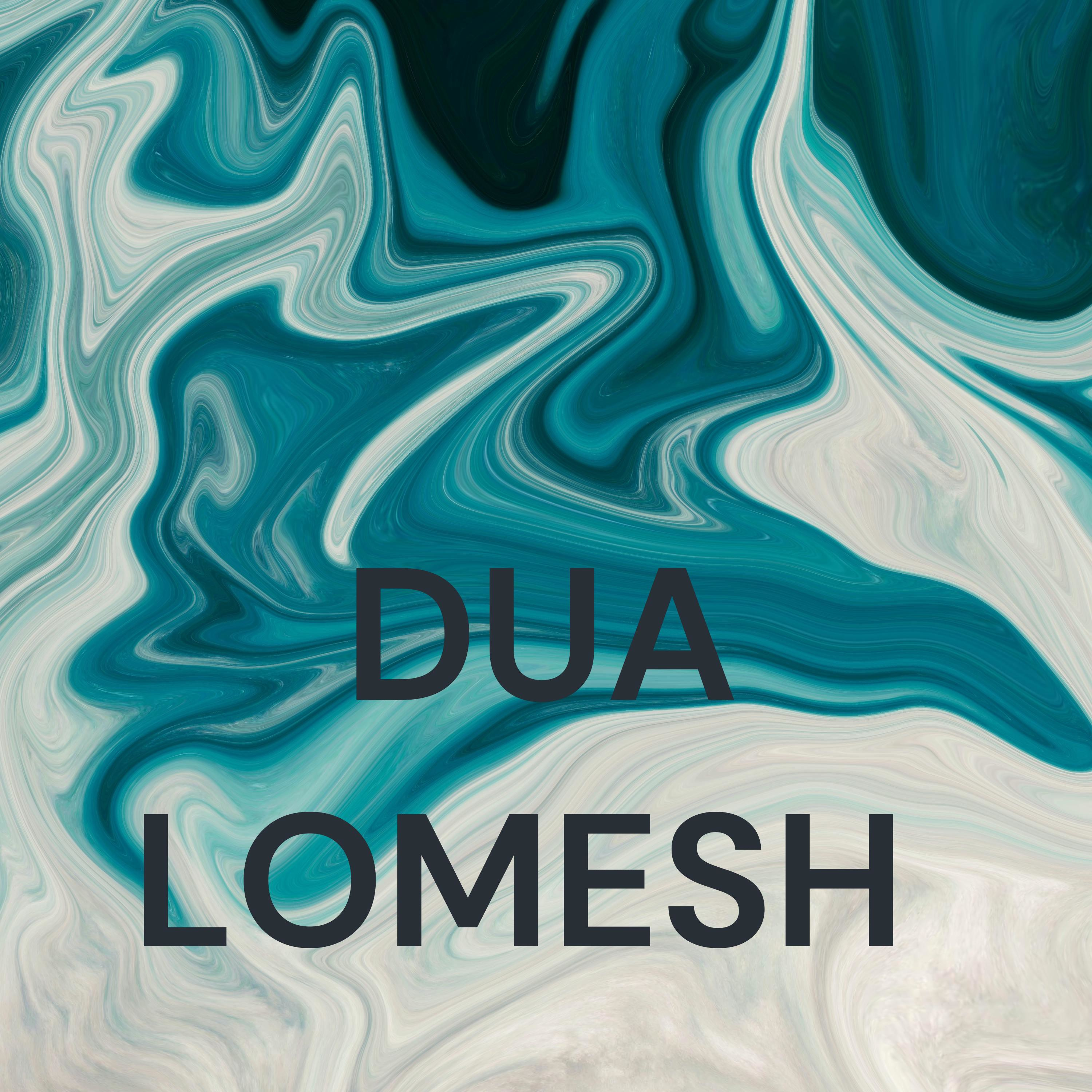 learn with DUA LOMESH