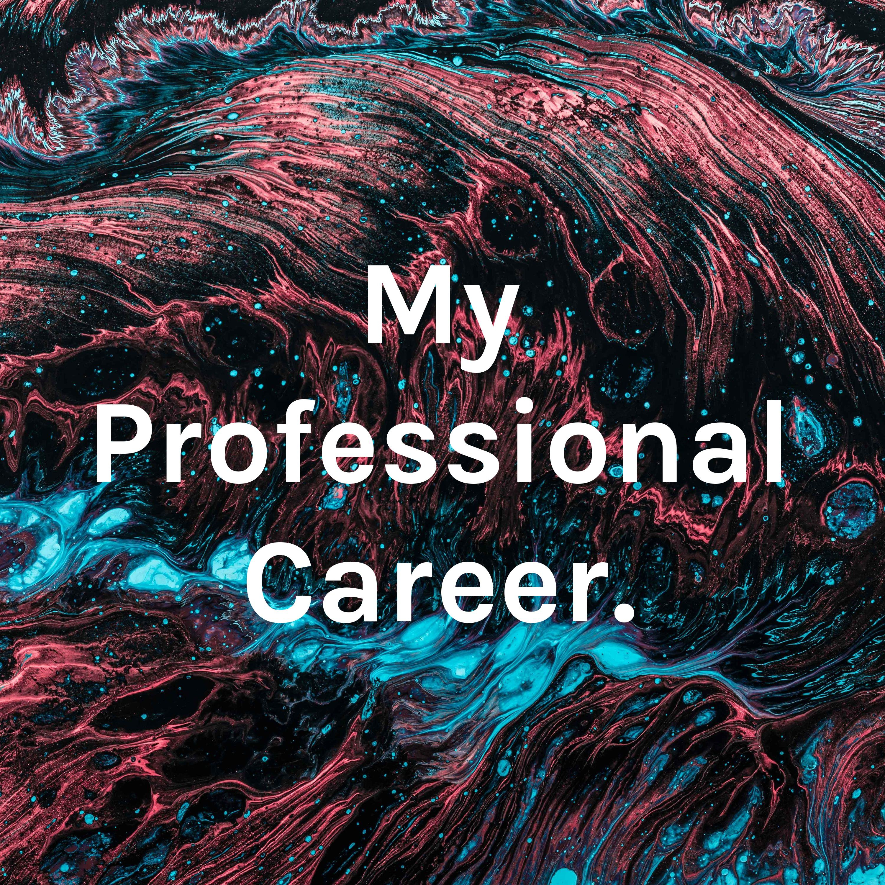 My Professional Career.