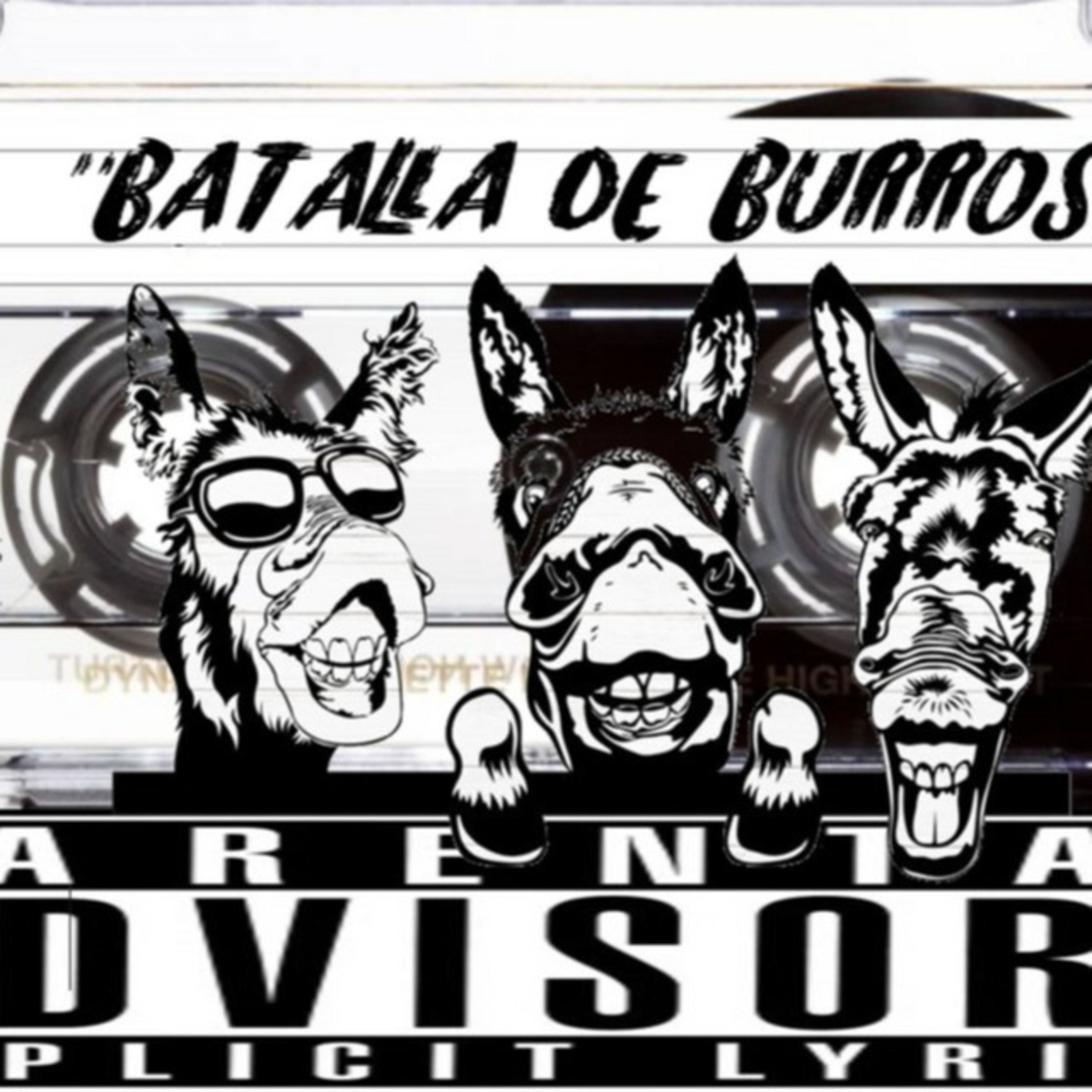 Batalla de Burros