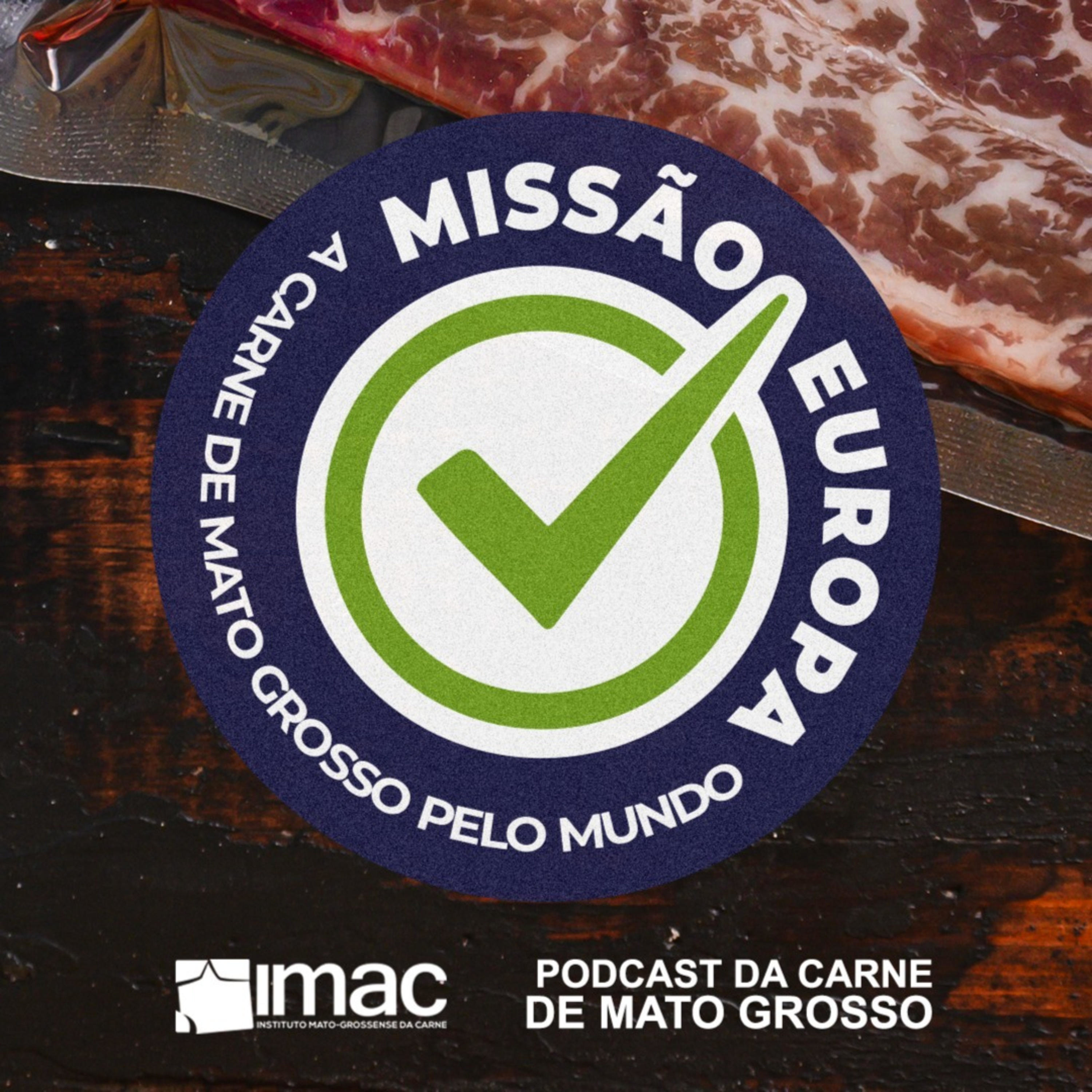 Missão Europa
