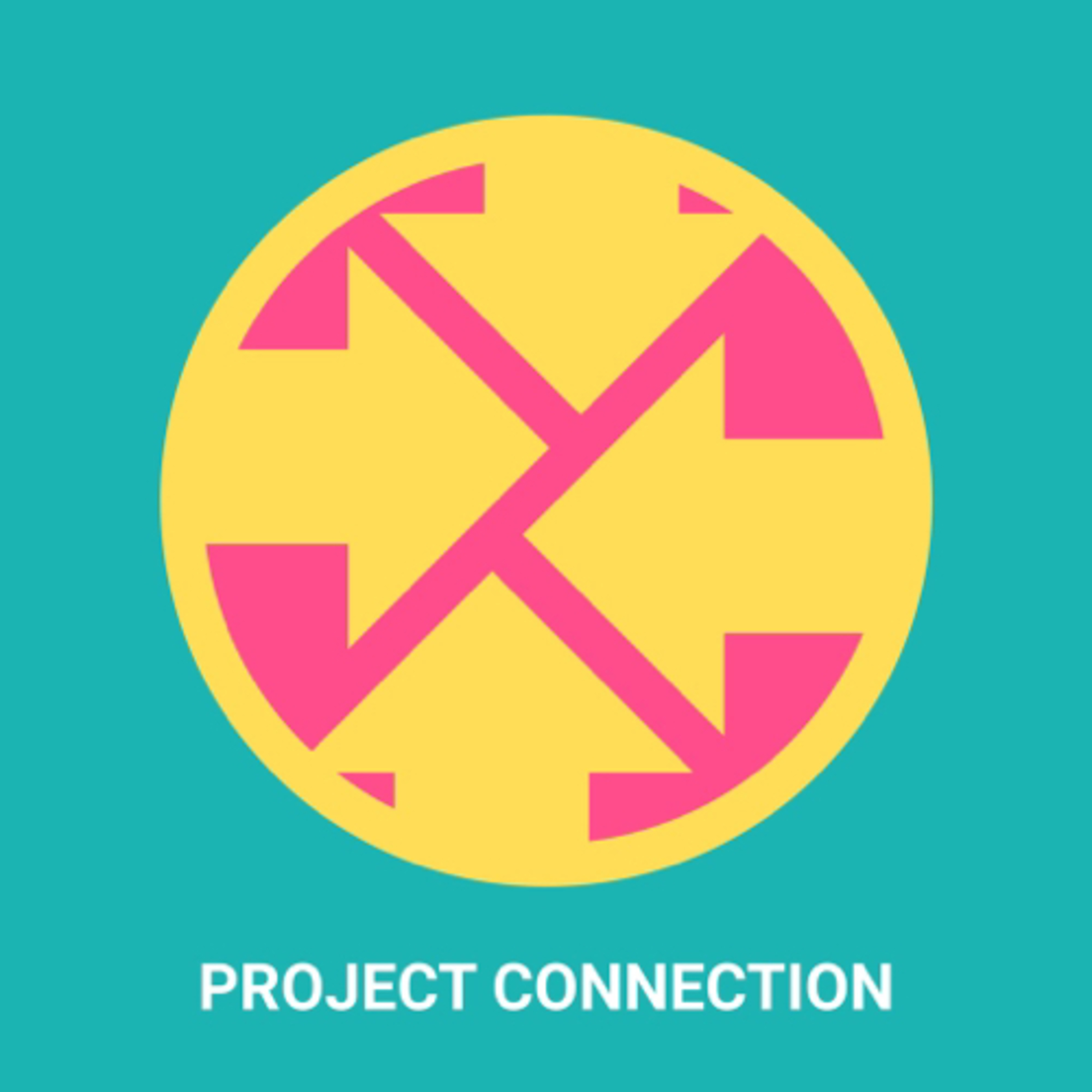 PROJECT CONNECTION