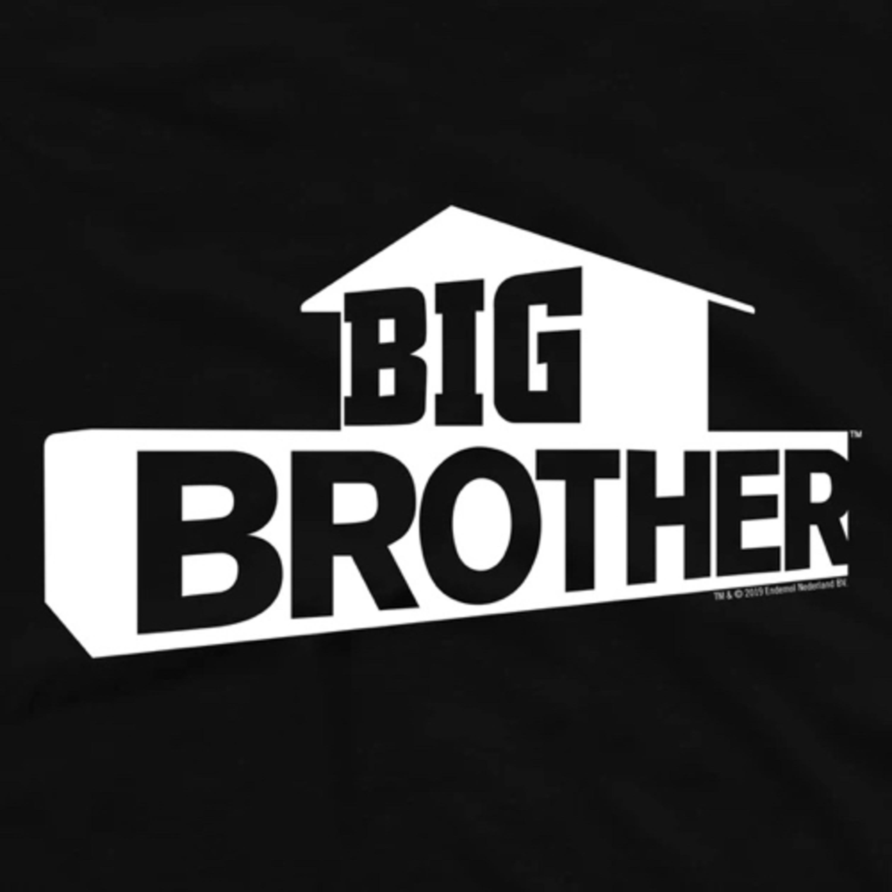 Big Brother Nation