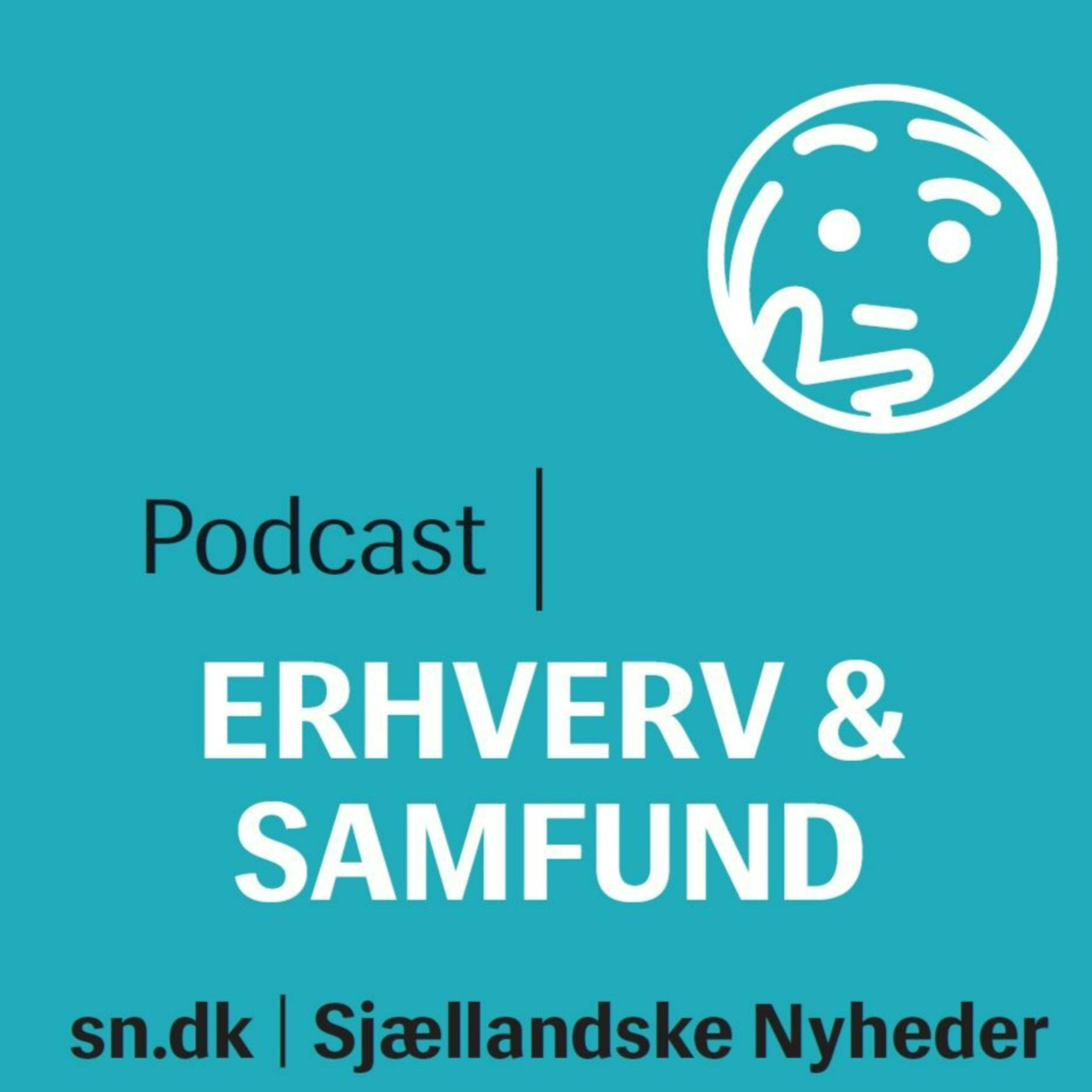 Erhverv og samfund
