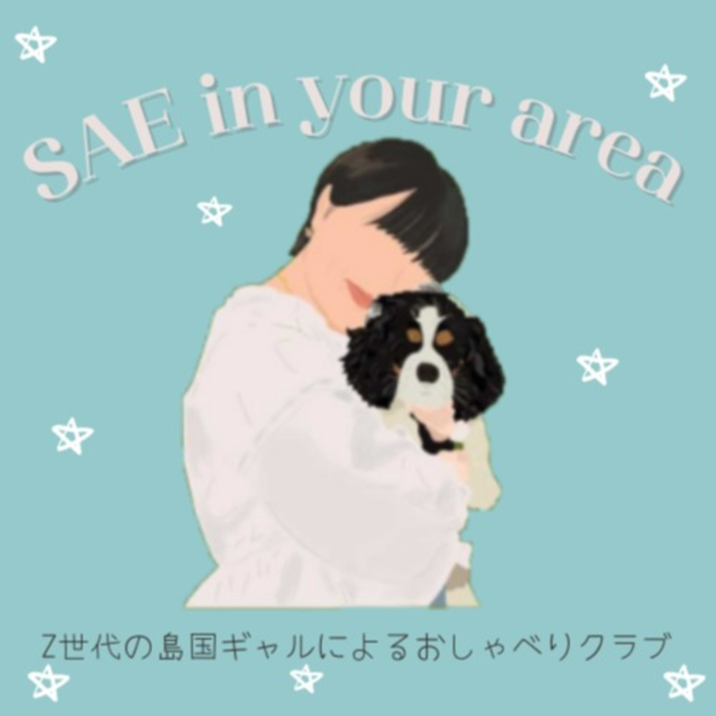 SAE in your area