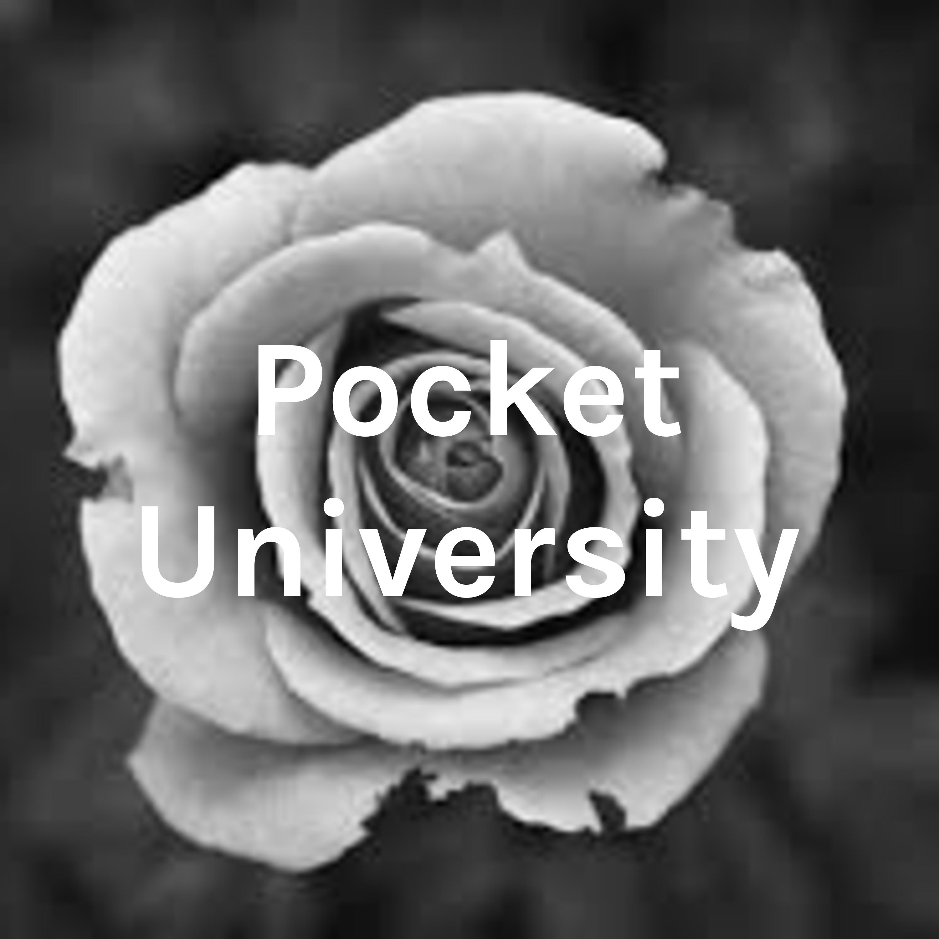 Pocket University