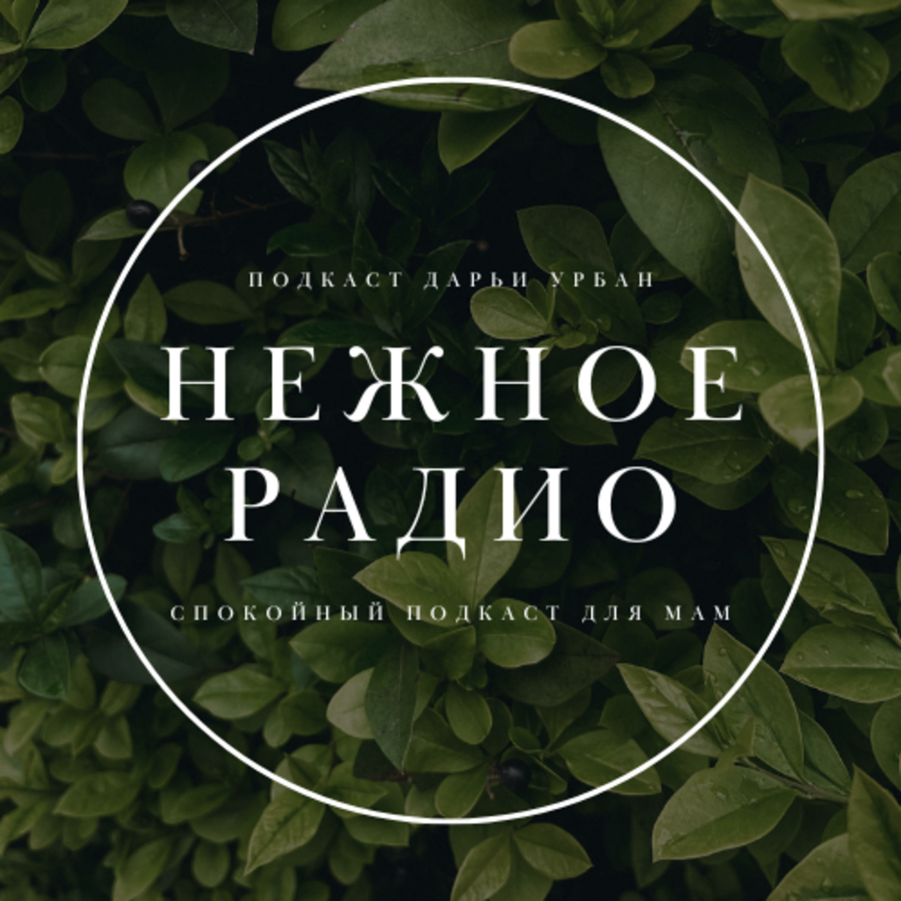Нежное радио Нежное радио
