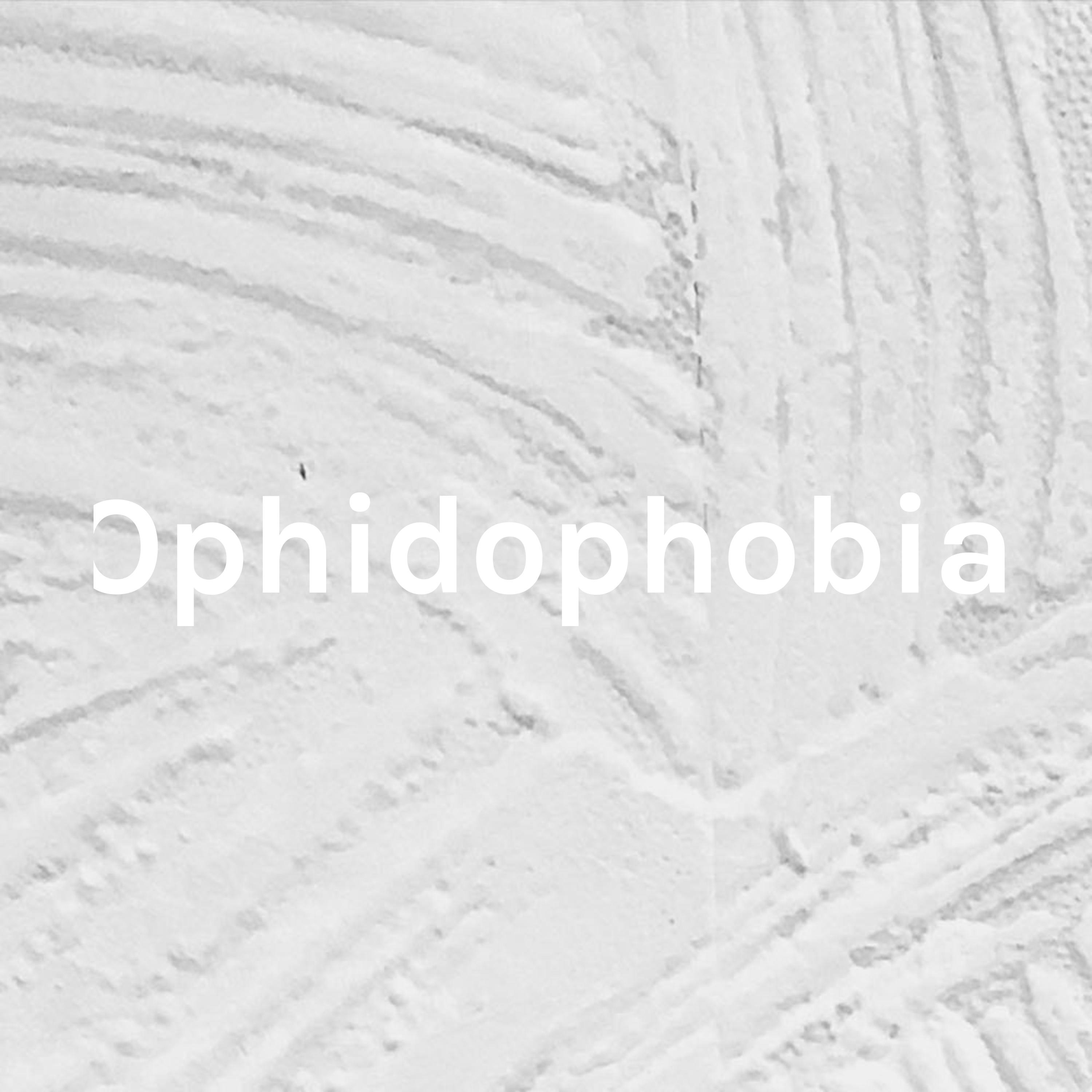 Ophidophobia: Fear Of Snakes